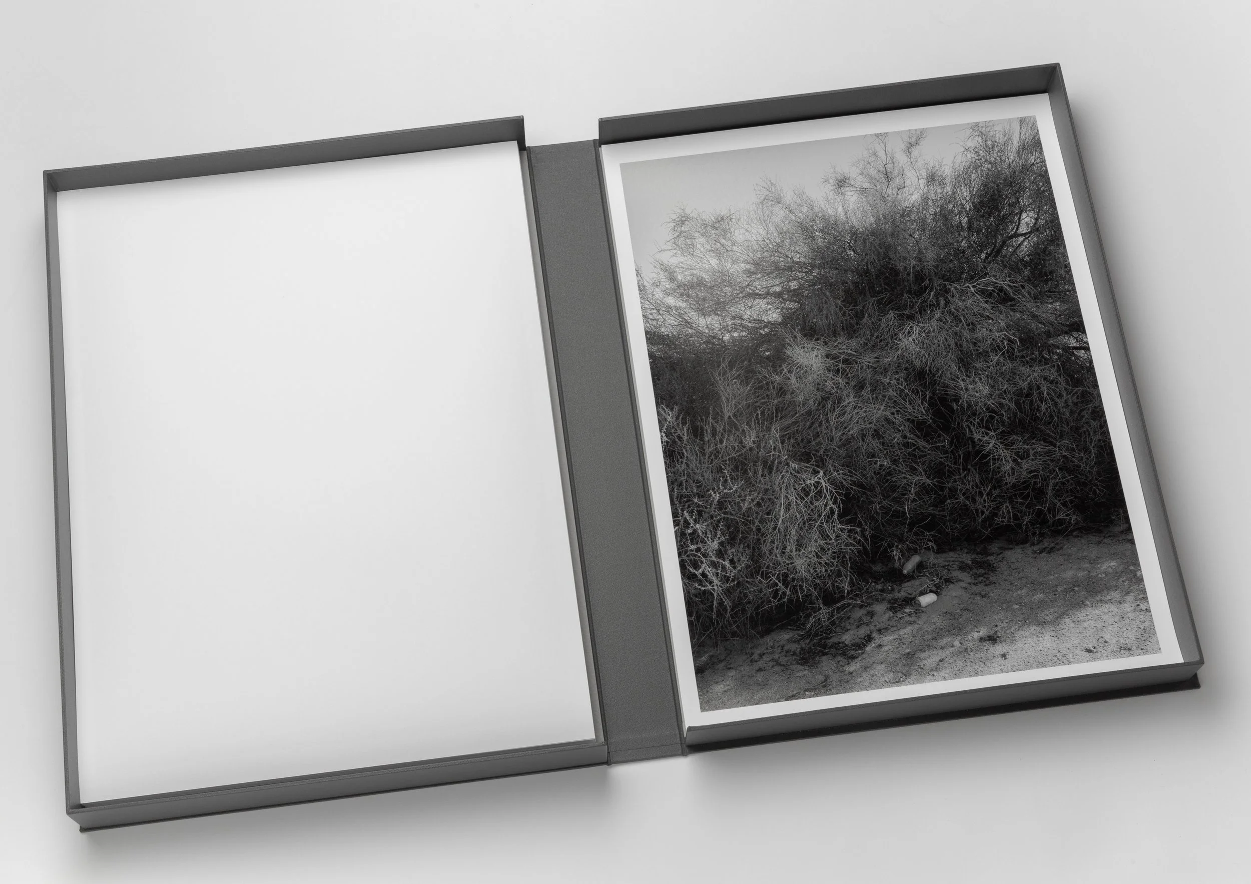 AS_Portfolio-44.jpg
