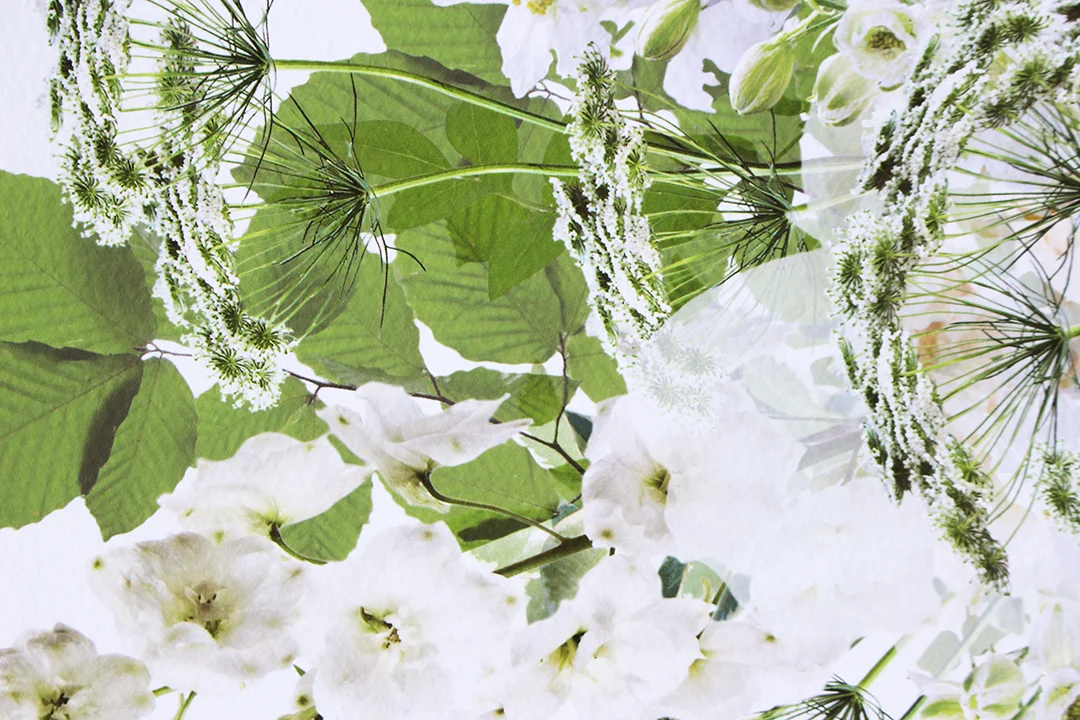 white-wedding-bouquet-print-giftlist-wedding-present.jpg