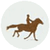 muybridge-layers-clipped-yoav.gif