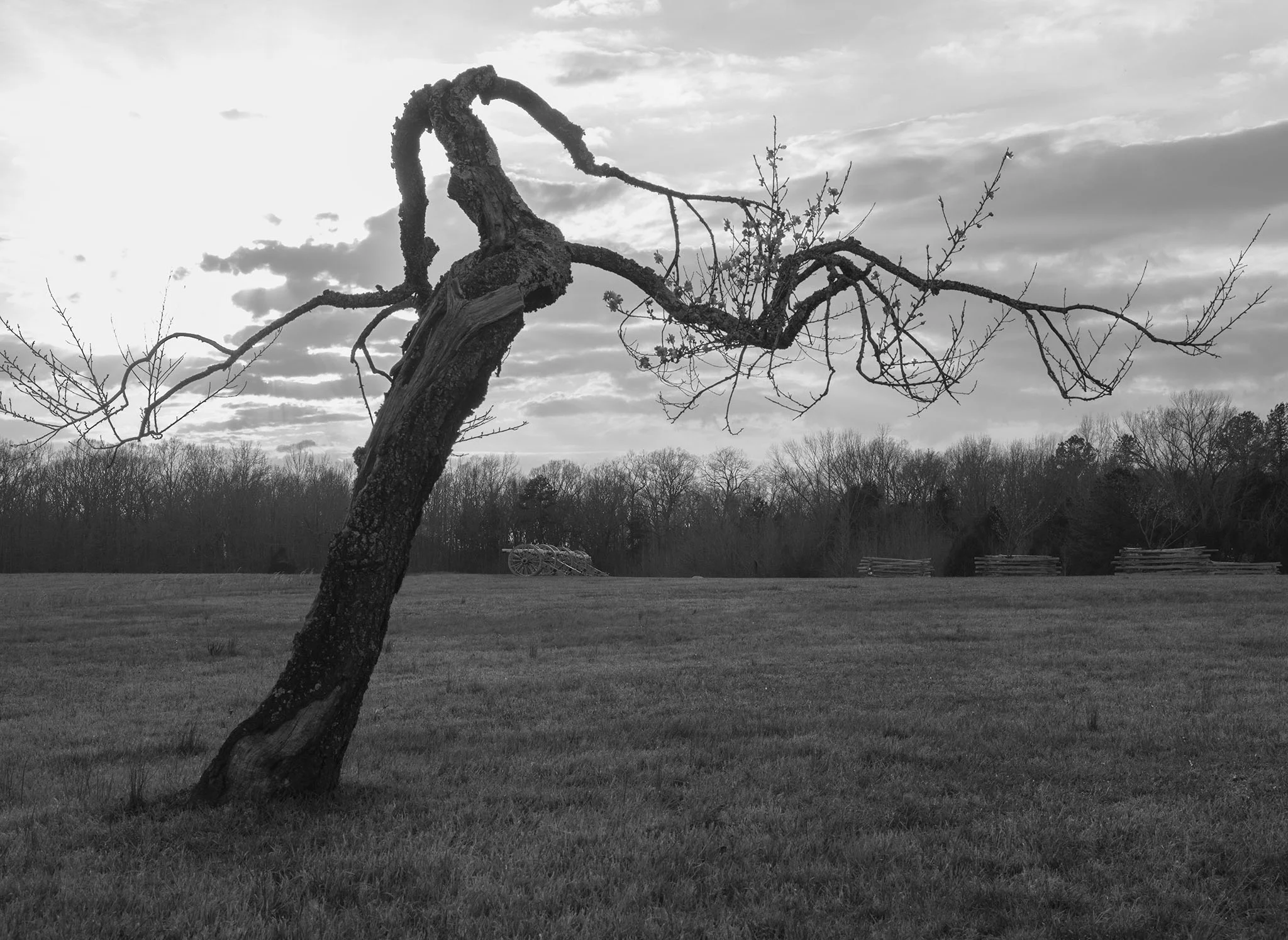 31_Jones Field, Shiloh National Military Park, TN, 2012.jpg