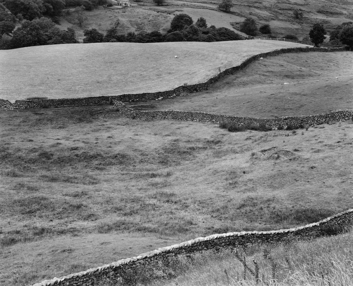 CT_POSITIVE_LANDSCAPE 10.jpg