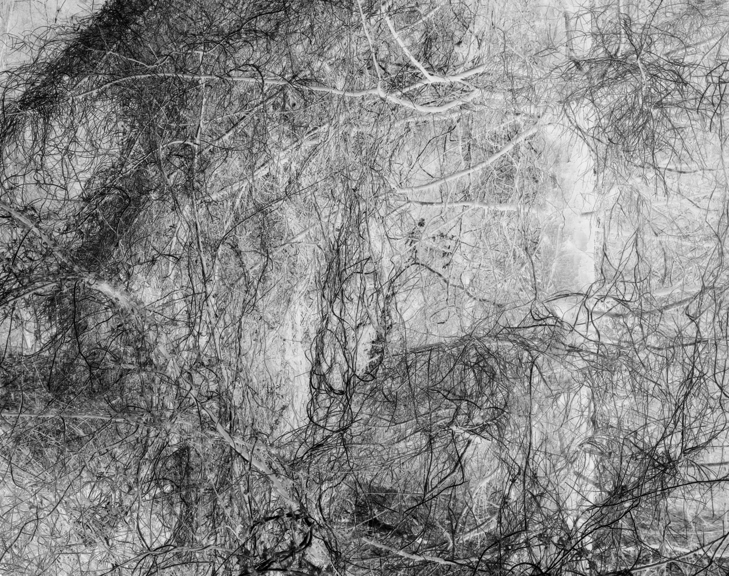 457RetouchedLayers.jpg