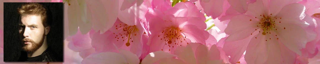 'Sakura' & 'Venice' published in Live Encounters Poetry