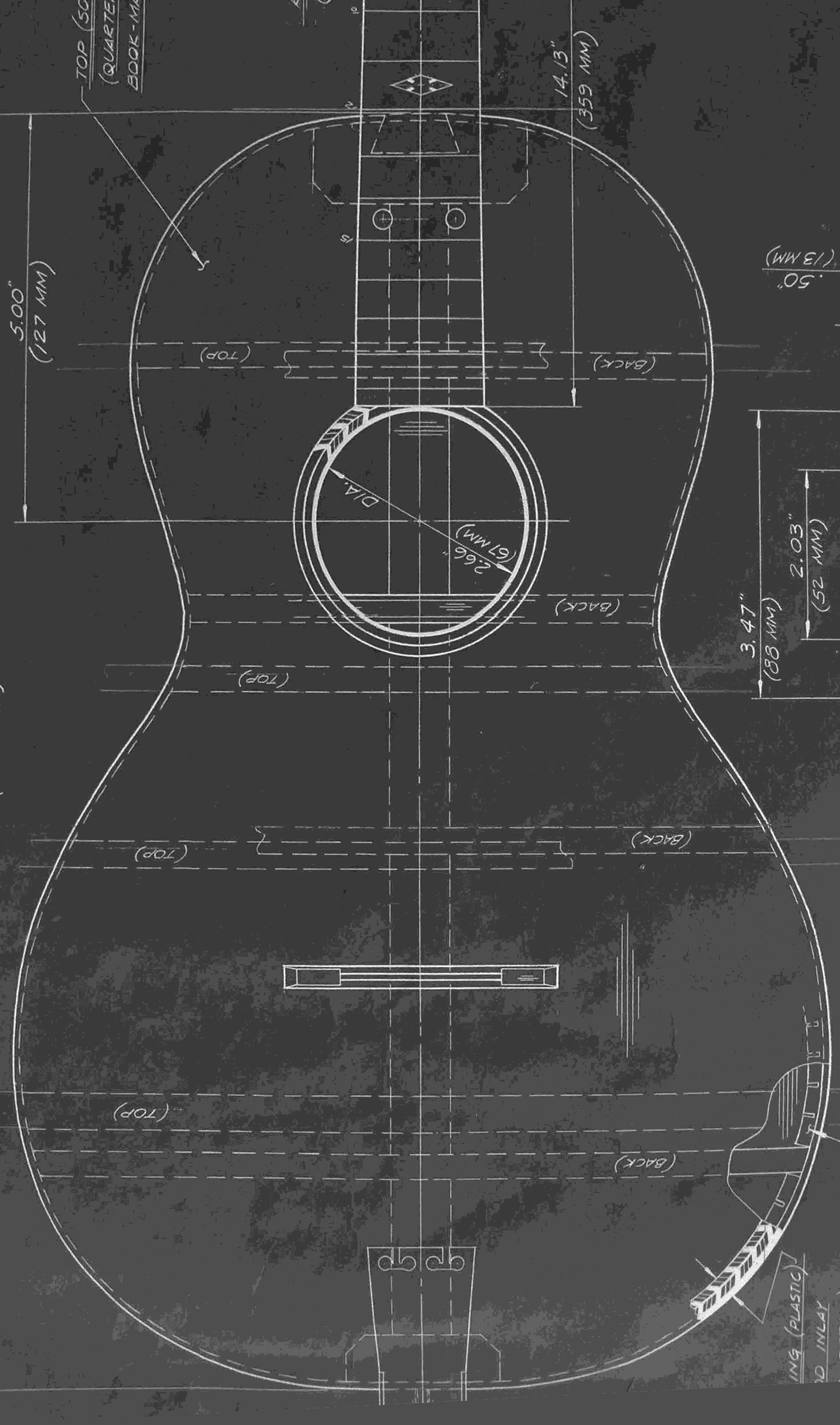 regal-tenor-1 02.jpg