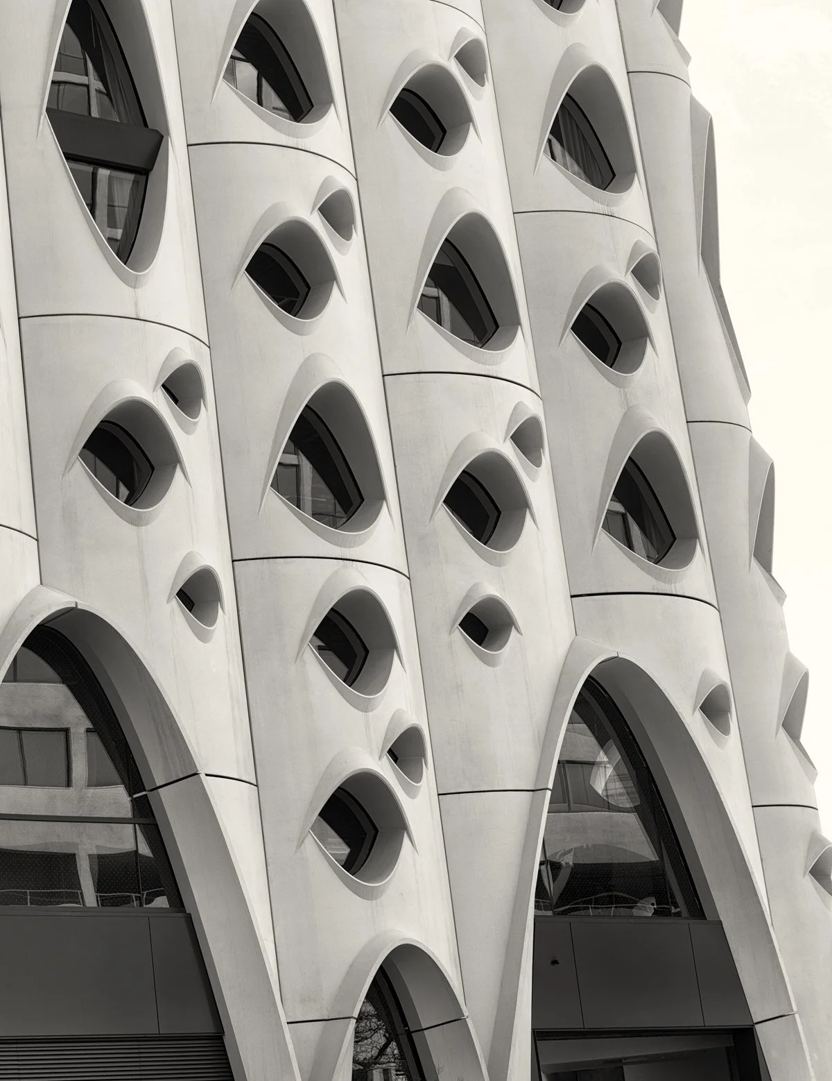 iMages des arch 1.jpg