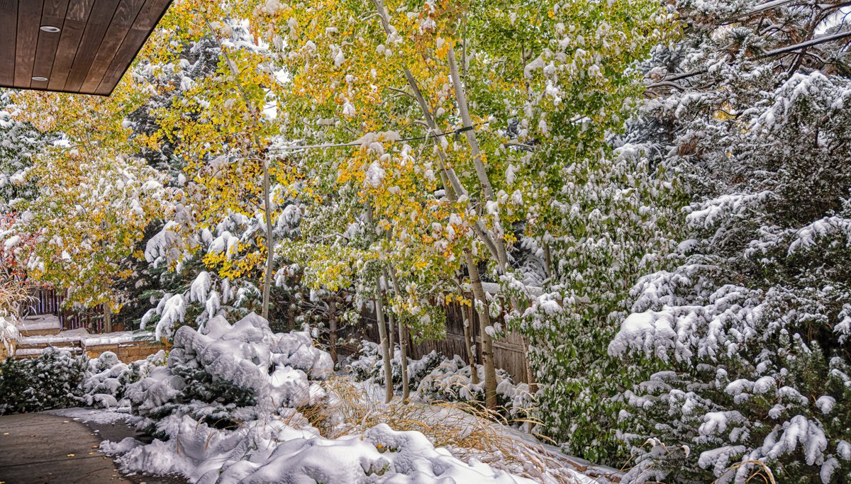 iMages Landscape 5-7.jpg