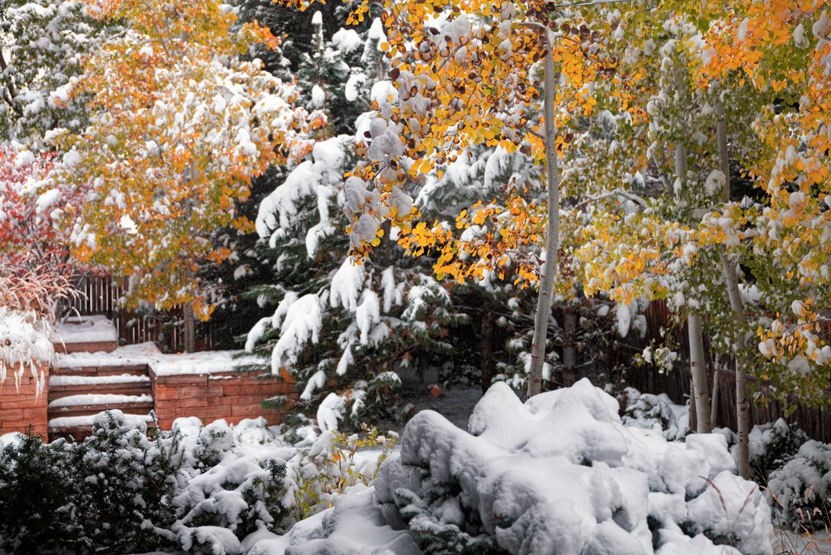 iMages Landscape 5-3.jpg