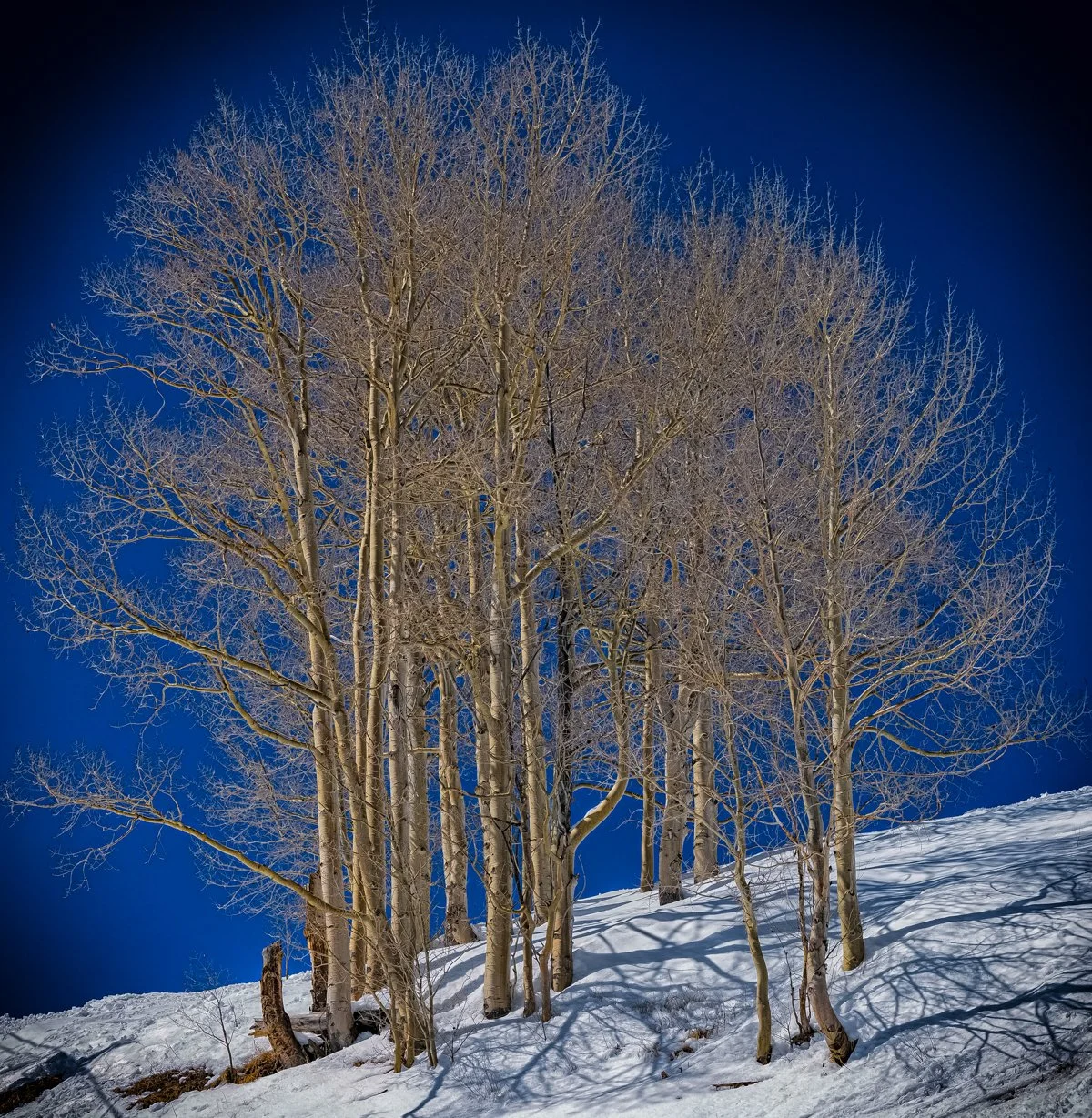 iMages Landscape 11.jpg