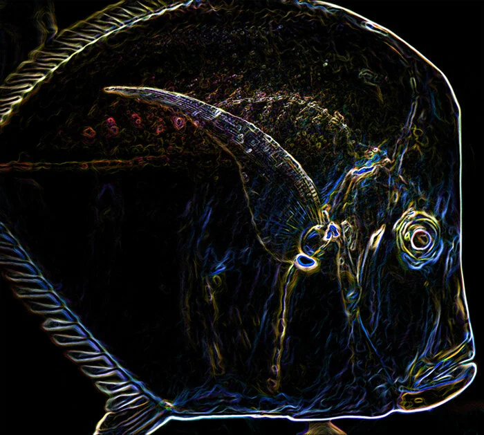 Jimi_Hue180__CR_9310 .jpg