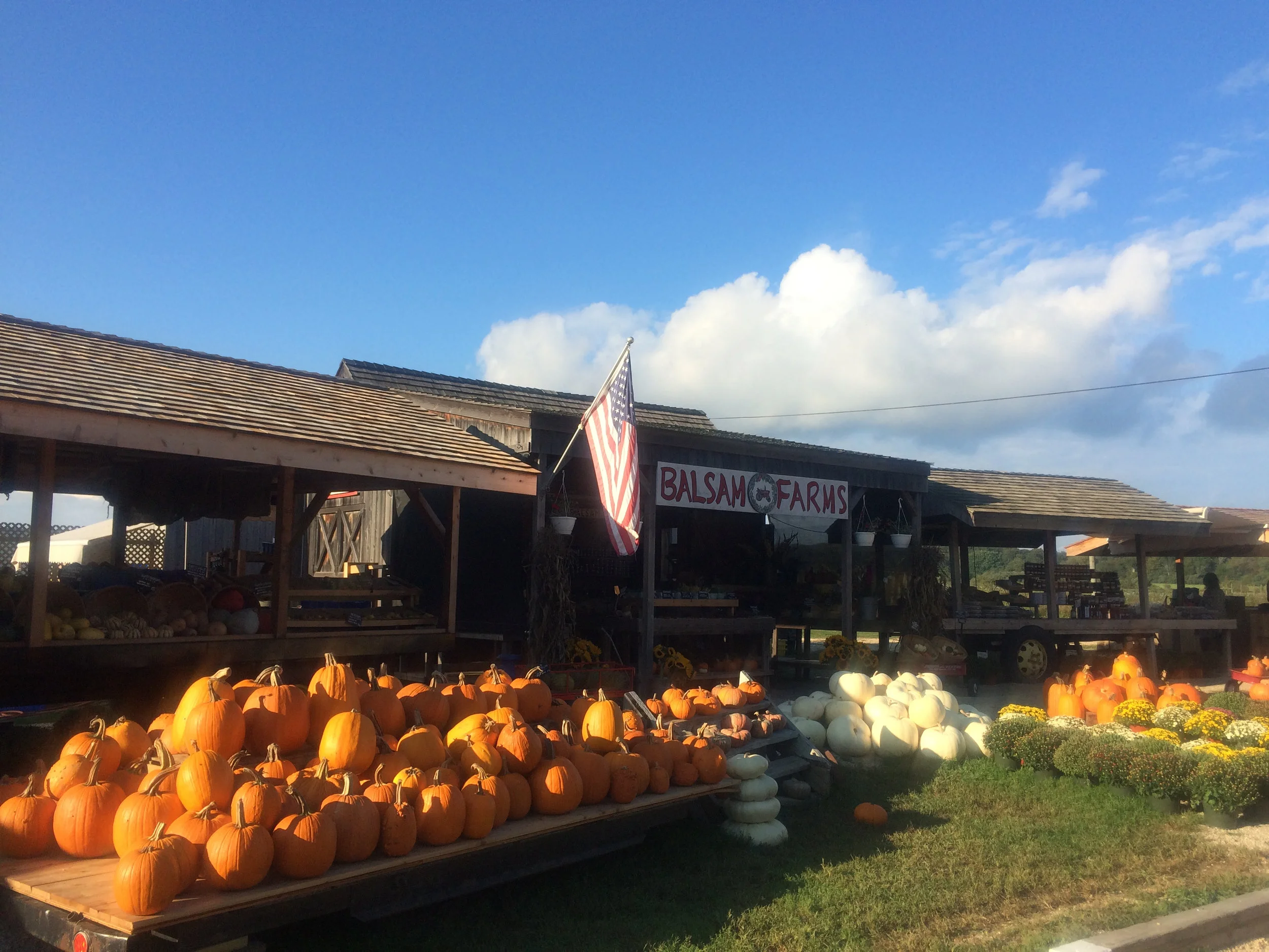 Balsam Farm. A must see destination while visiting. Abundant with organic fall harvest.