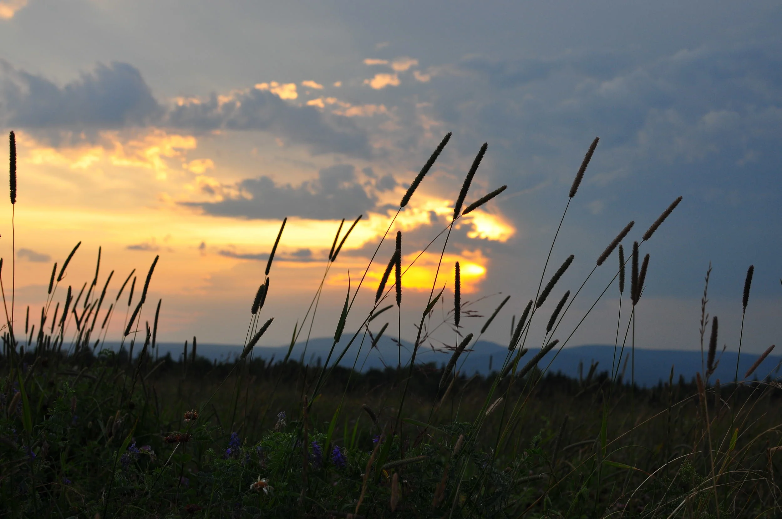 Just what is possible?