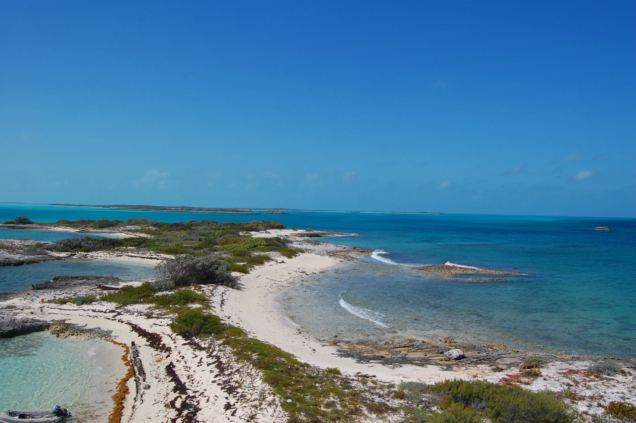 Abundance or scarcity