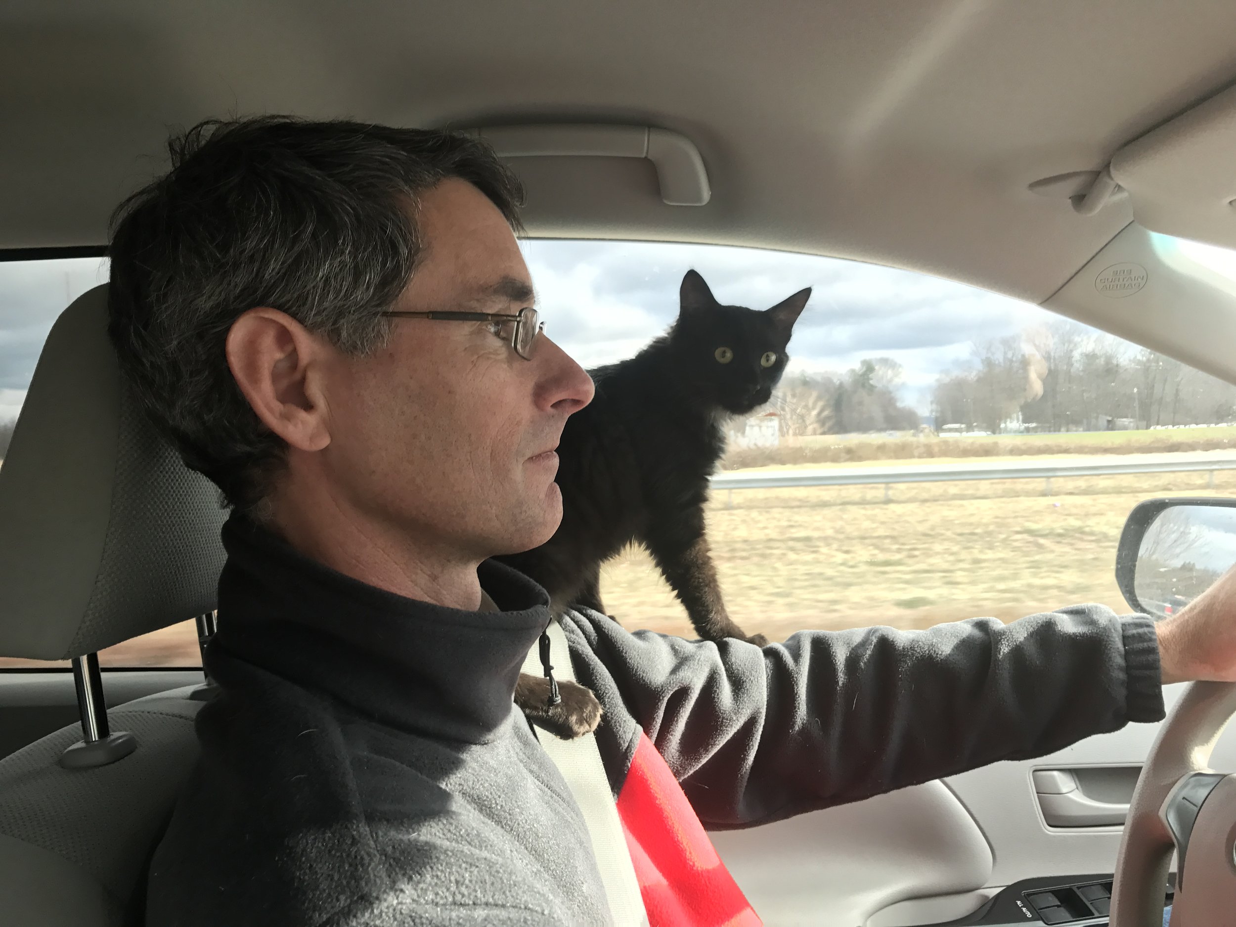 Juke, helping with the drive home from Vermont.