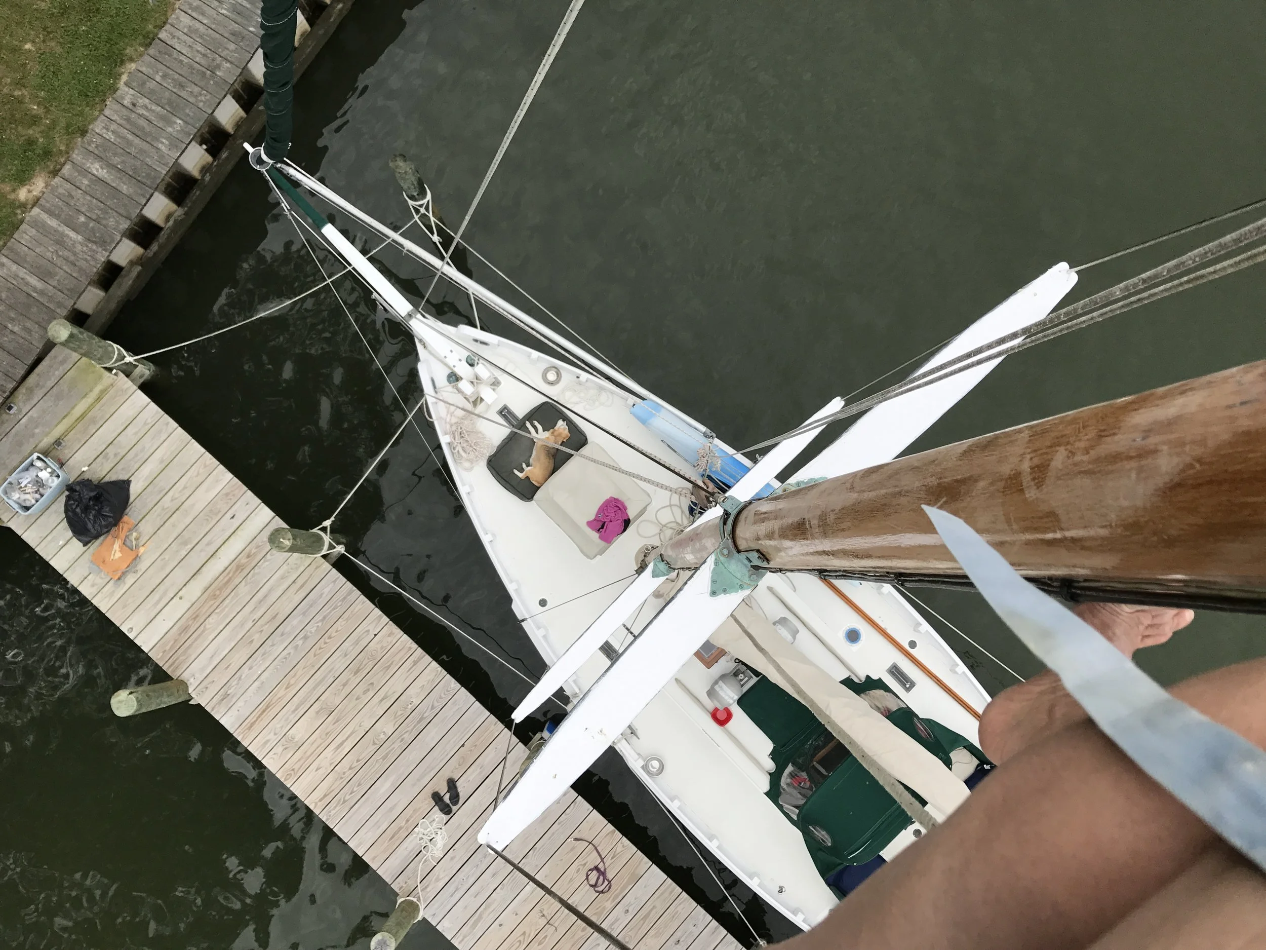 Boat Project Organization