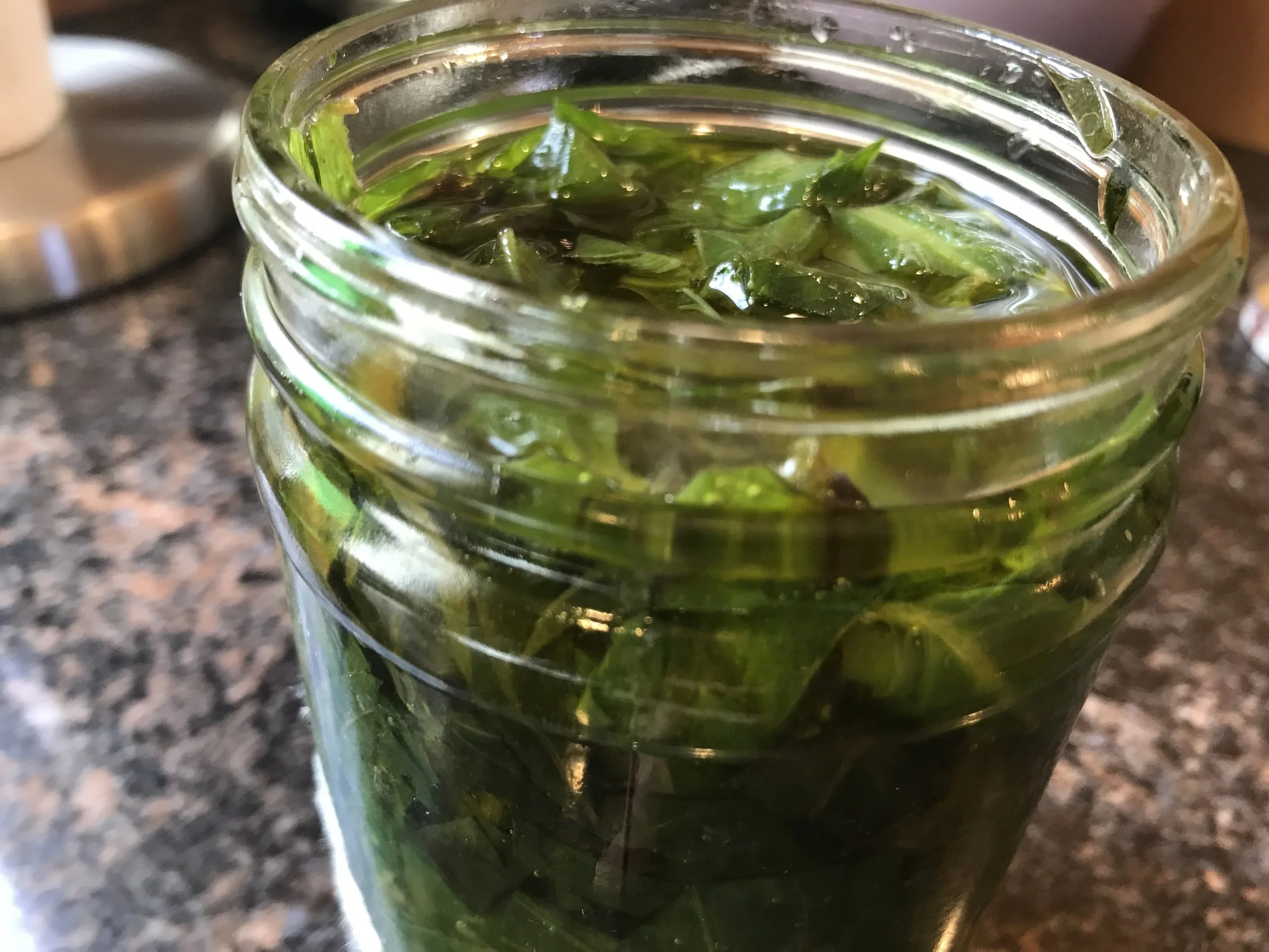 Basil for boats!  a Tasty Thursday story