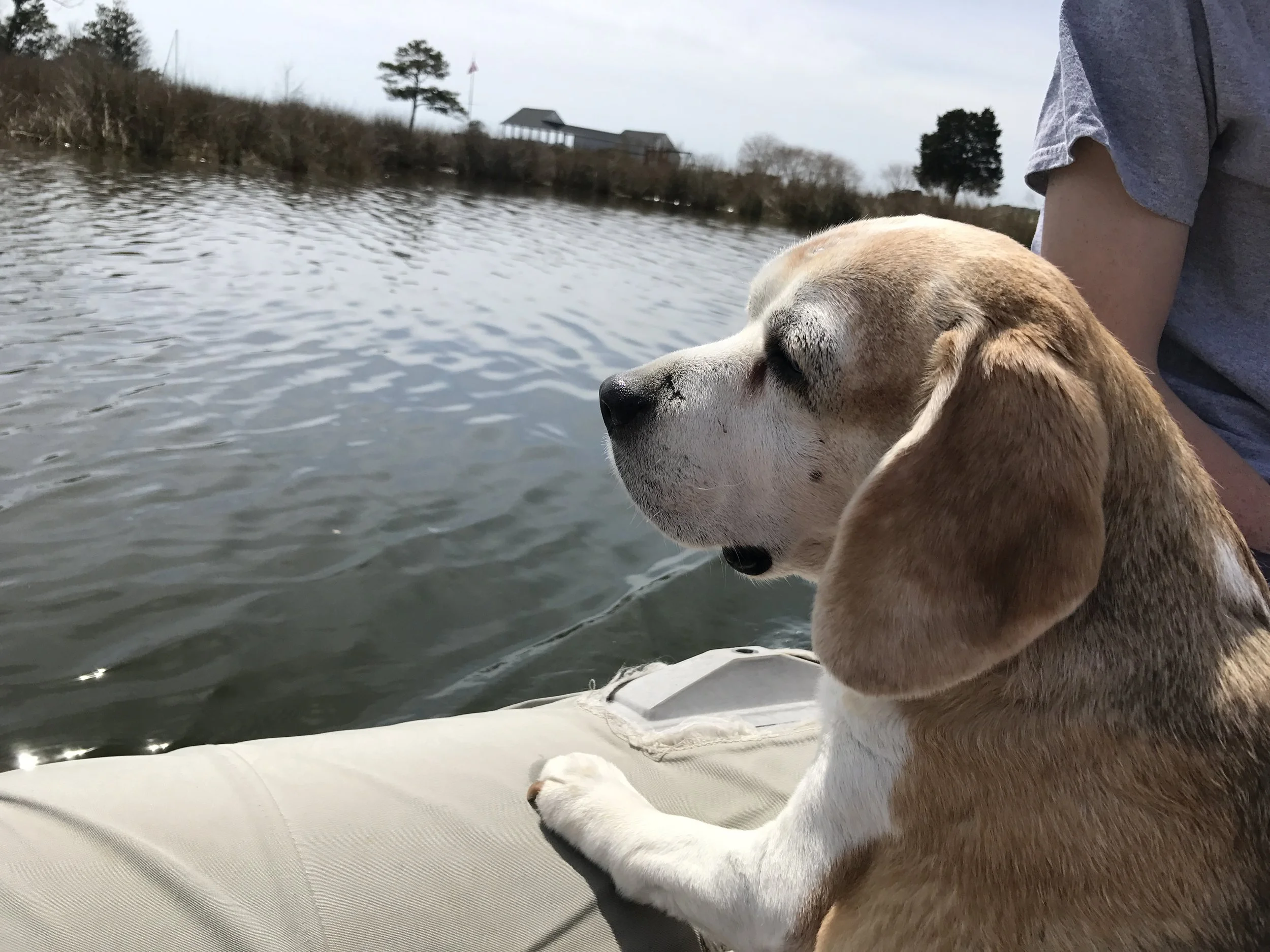 What Kind of Dinghy Should I Get?