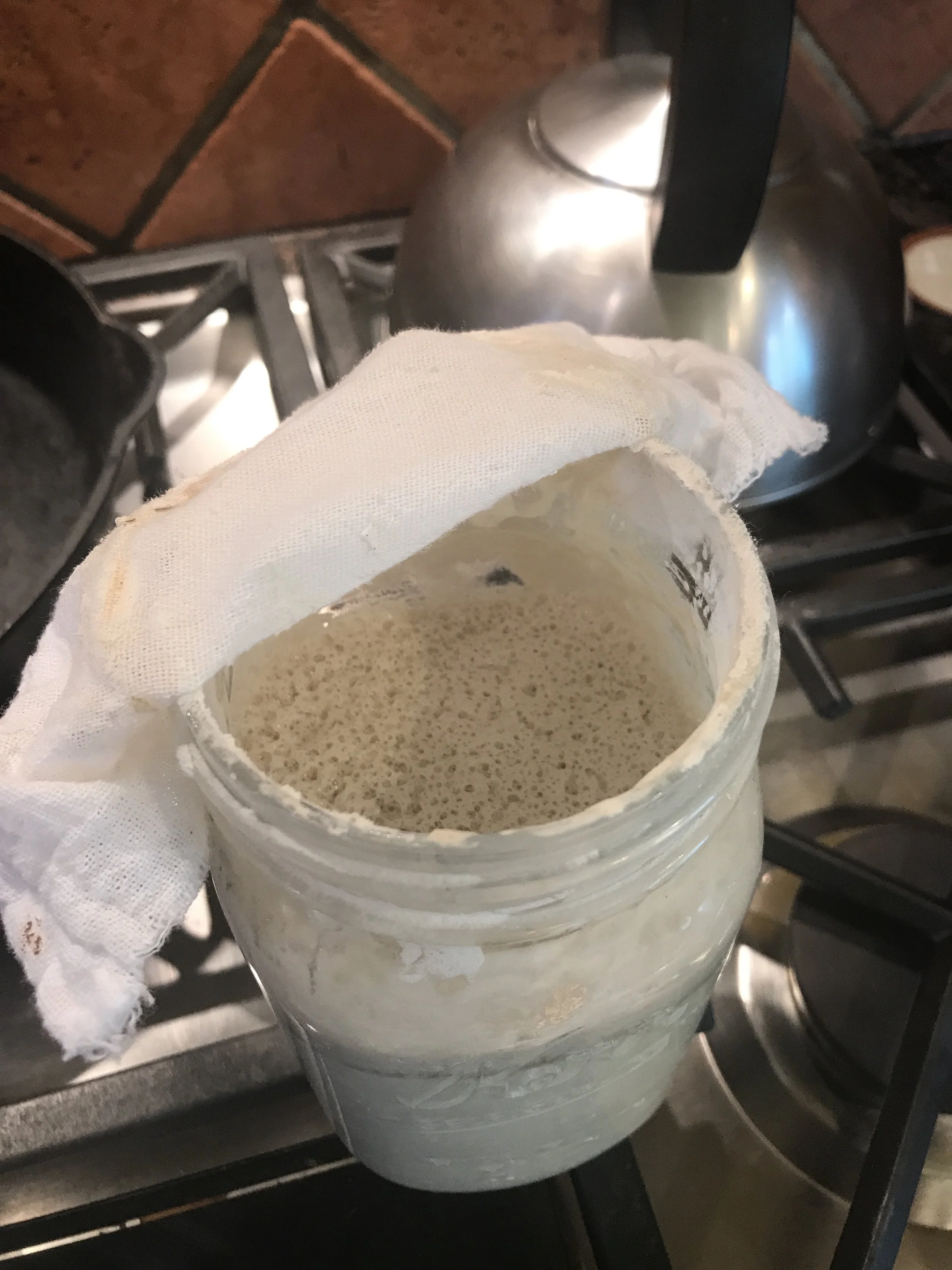 Feeding Sourdough Starter - a Tasty Thursday Post