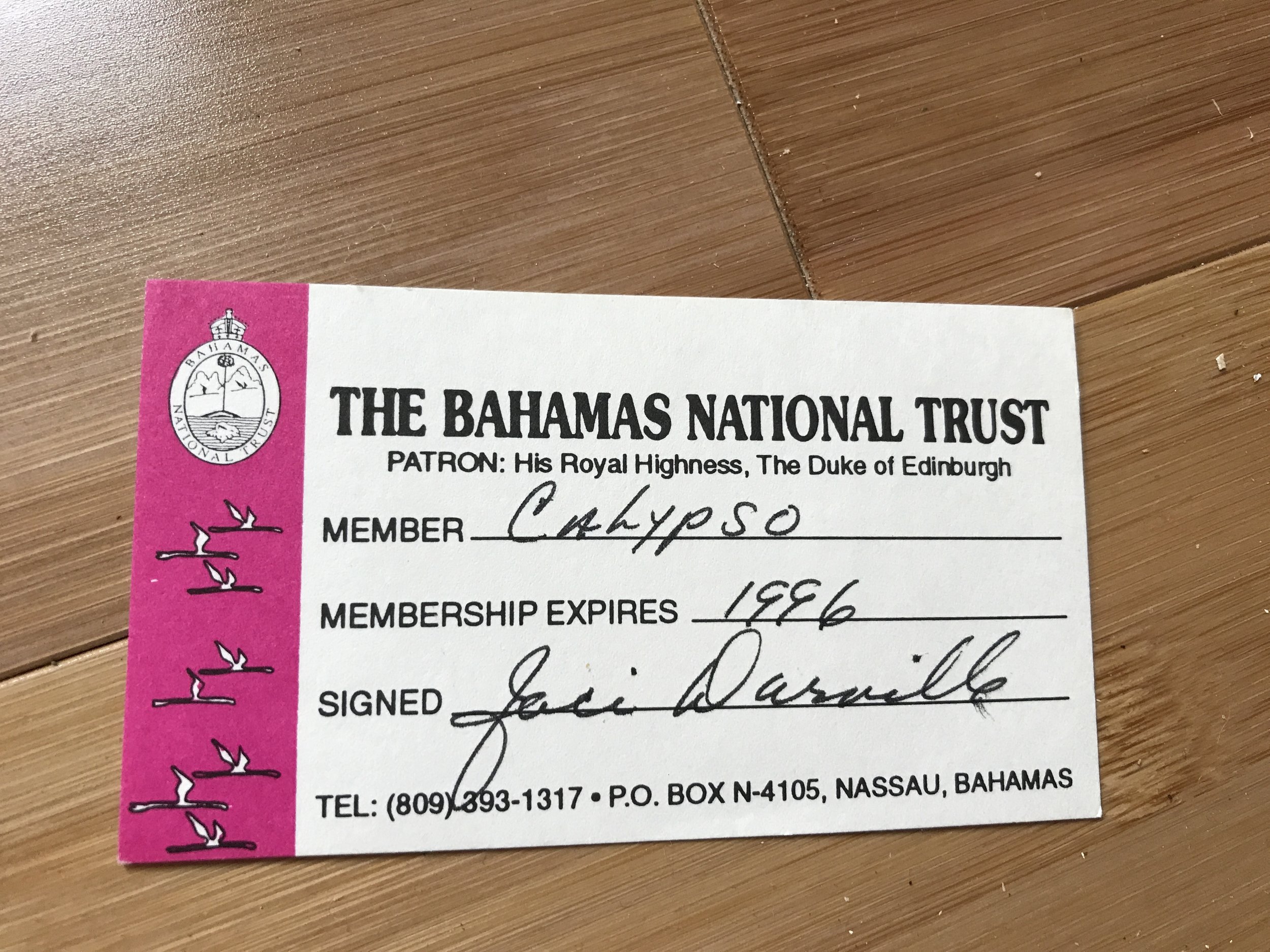 Think we can renew?
