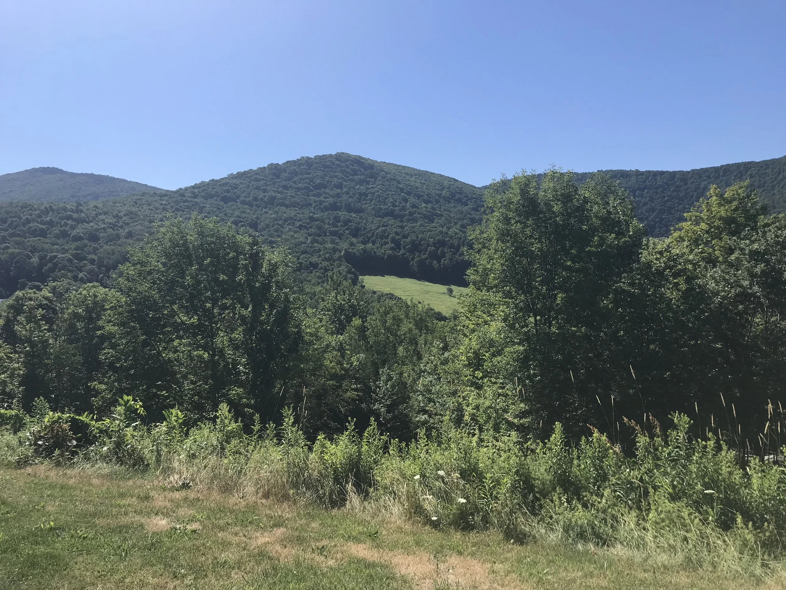 These views. Ahhh.