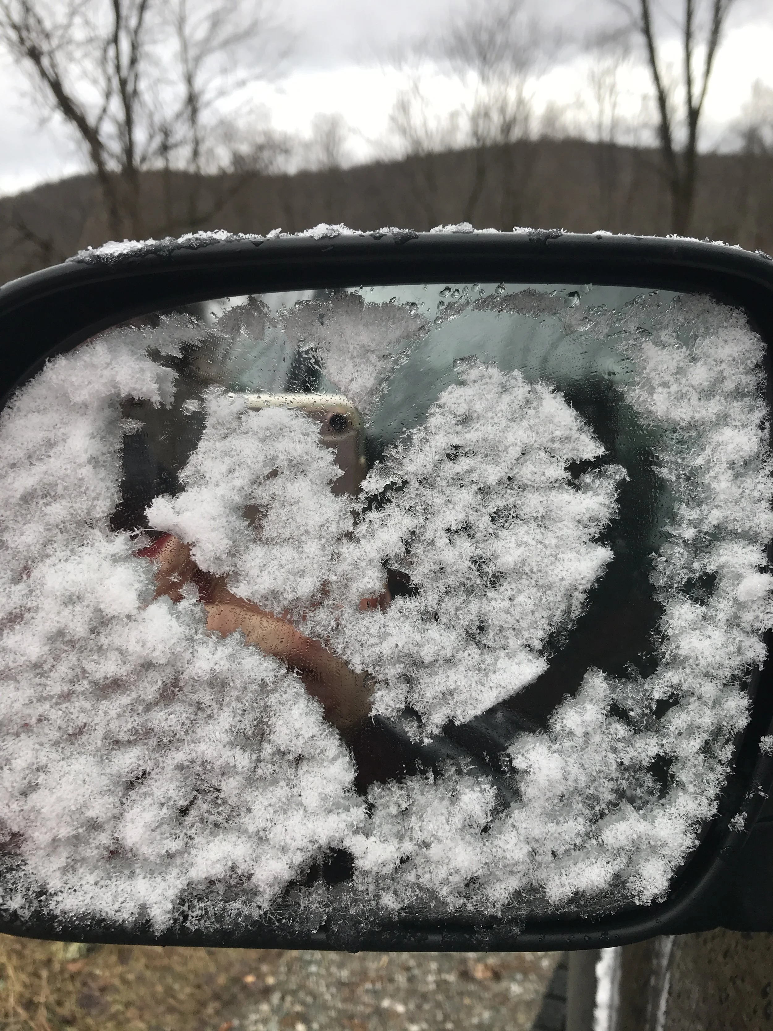 The Challenge is On!