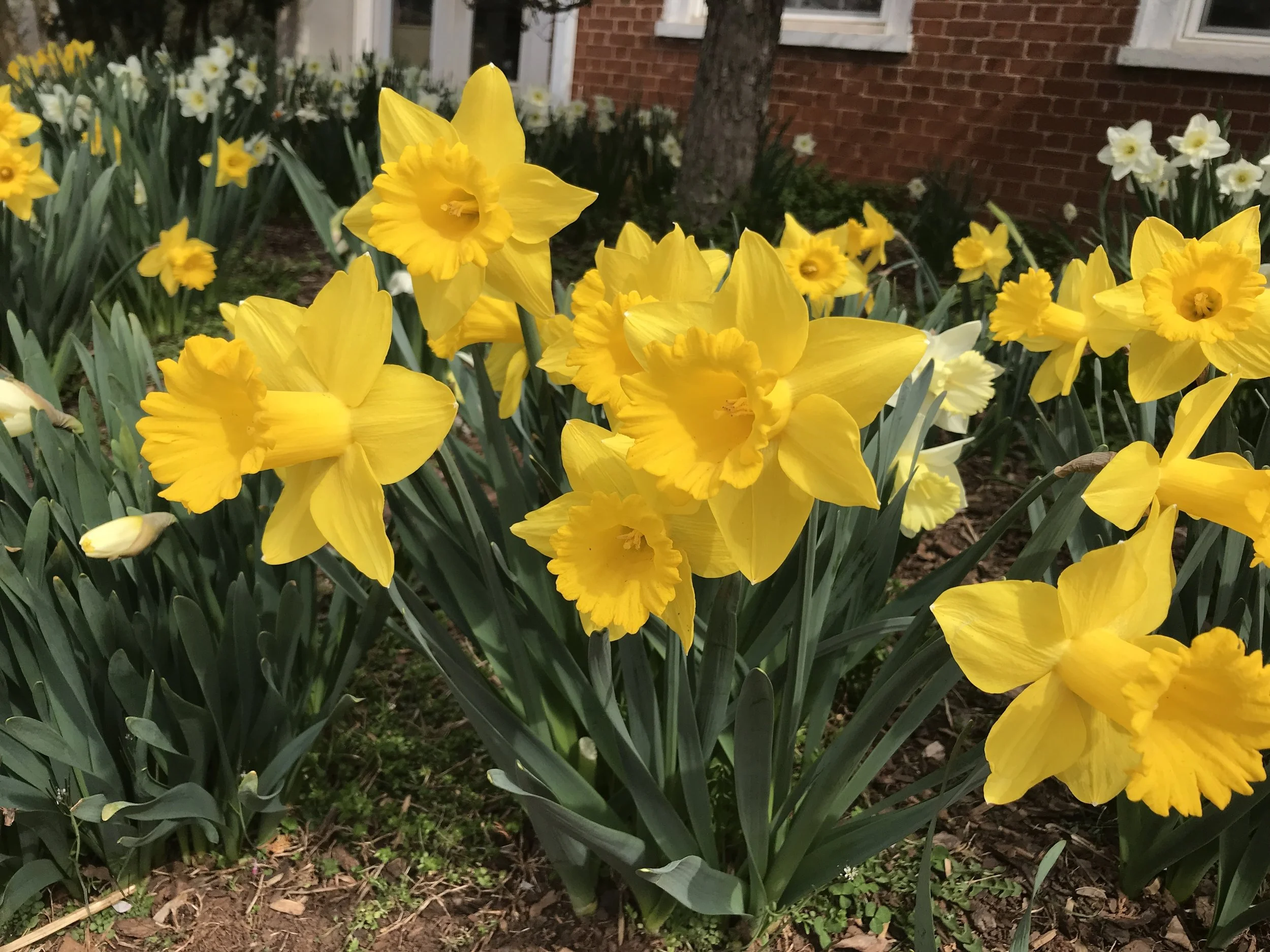 March Photo of the Month