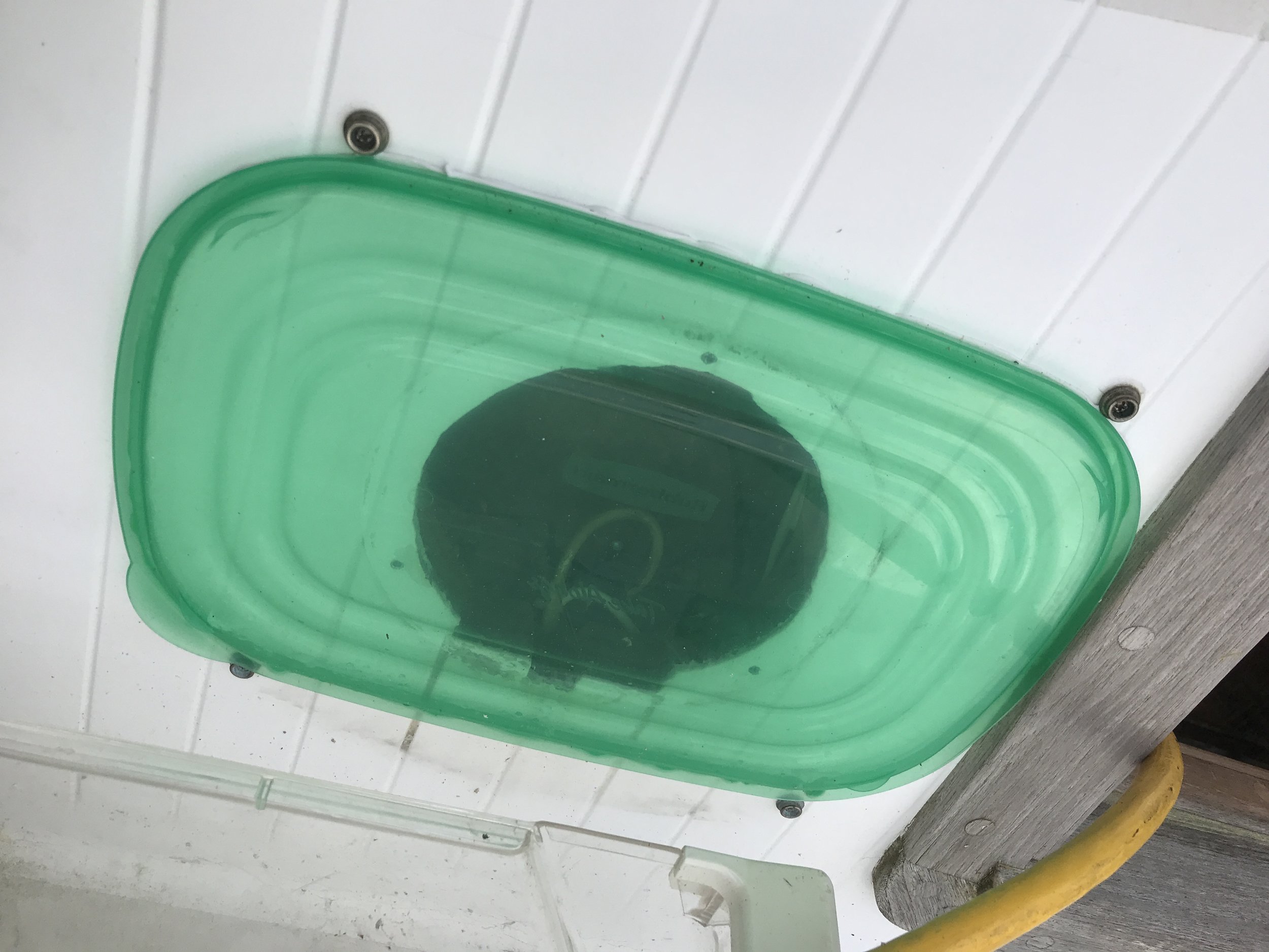 Perfect fit.