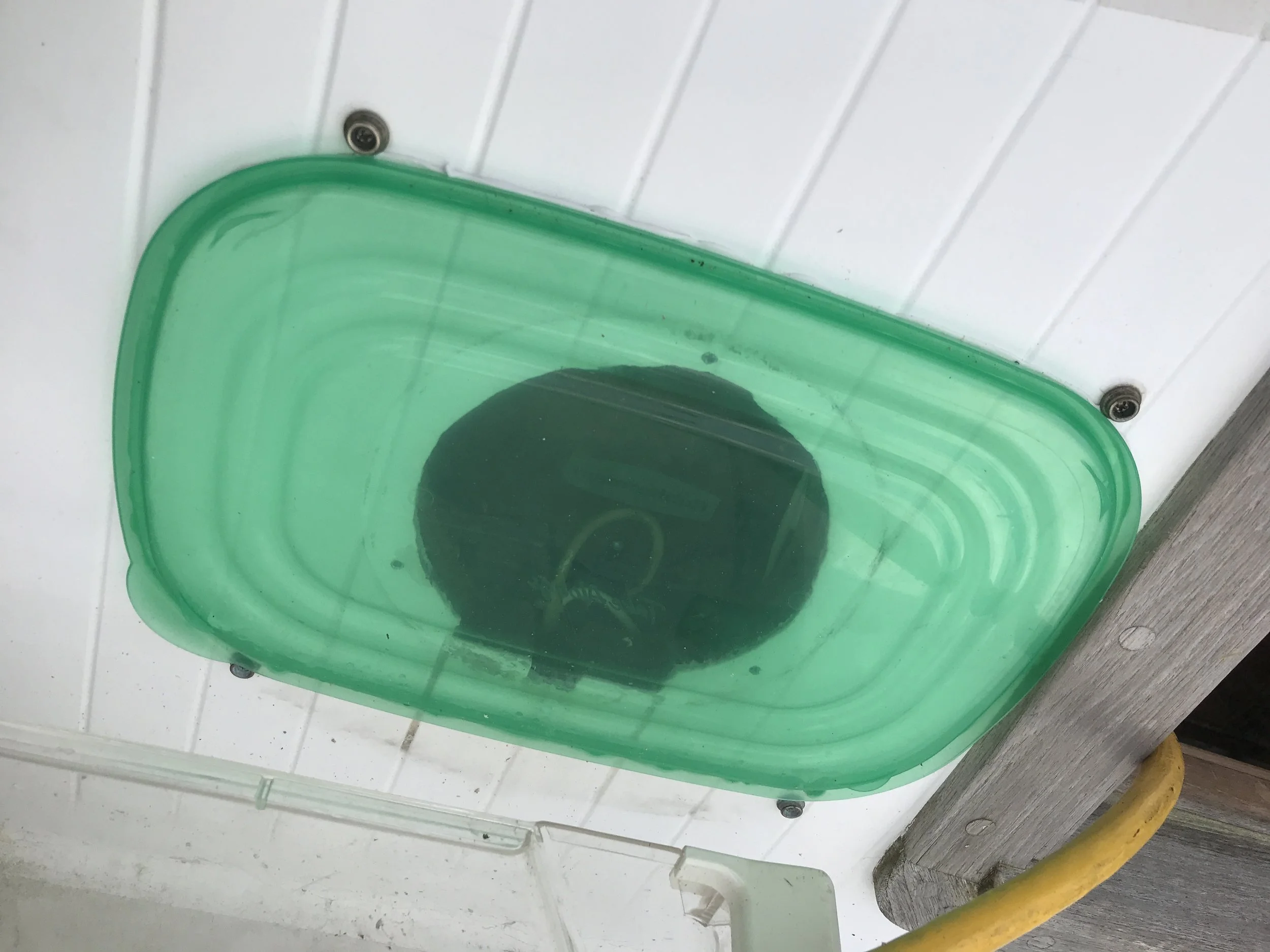 Deliberately Making Holes In The Boat