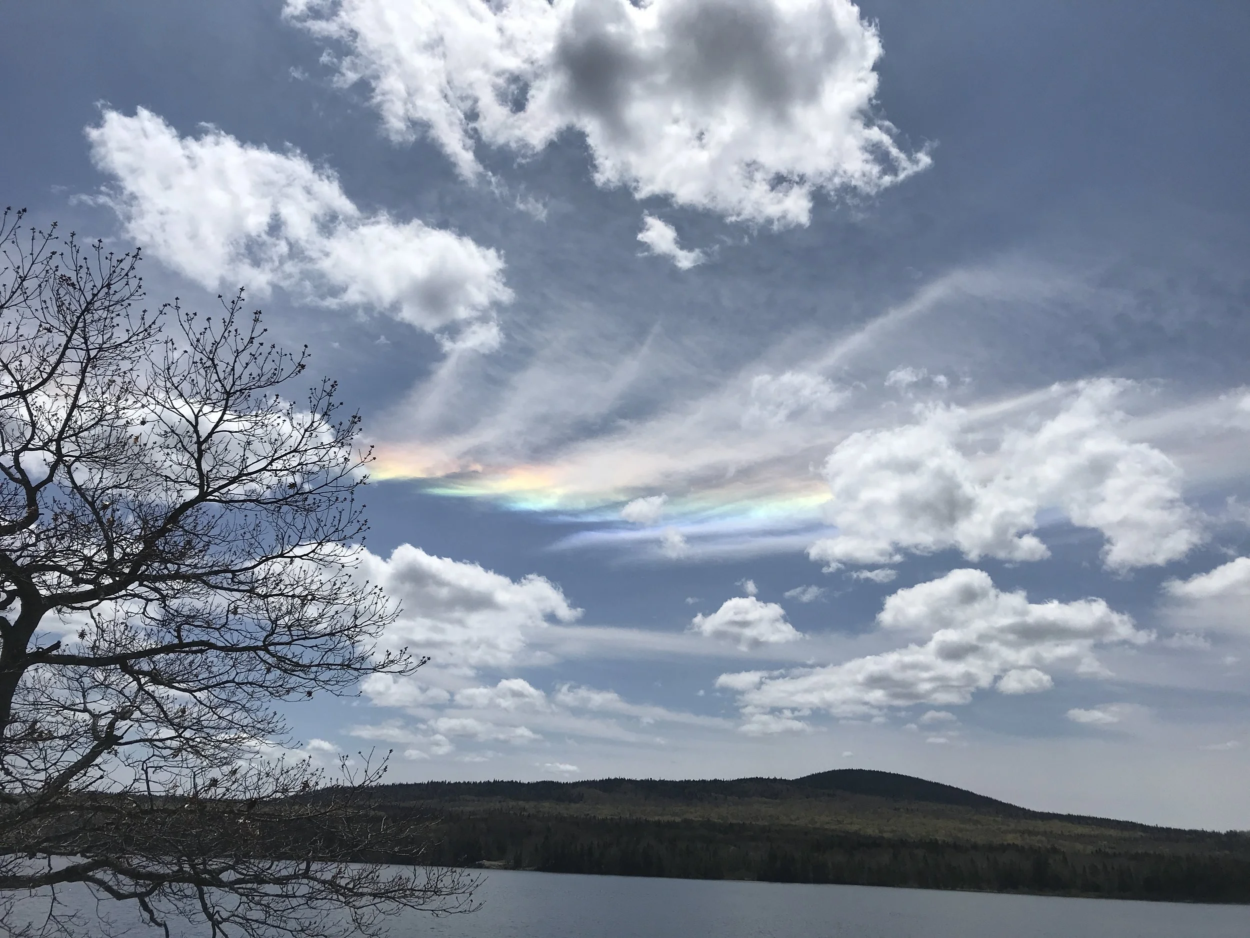 Vermont progress, May style