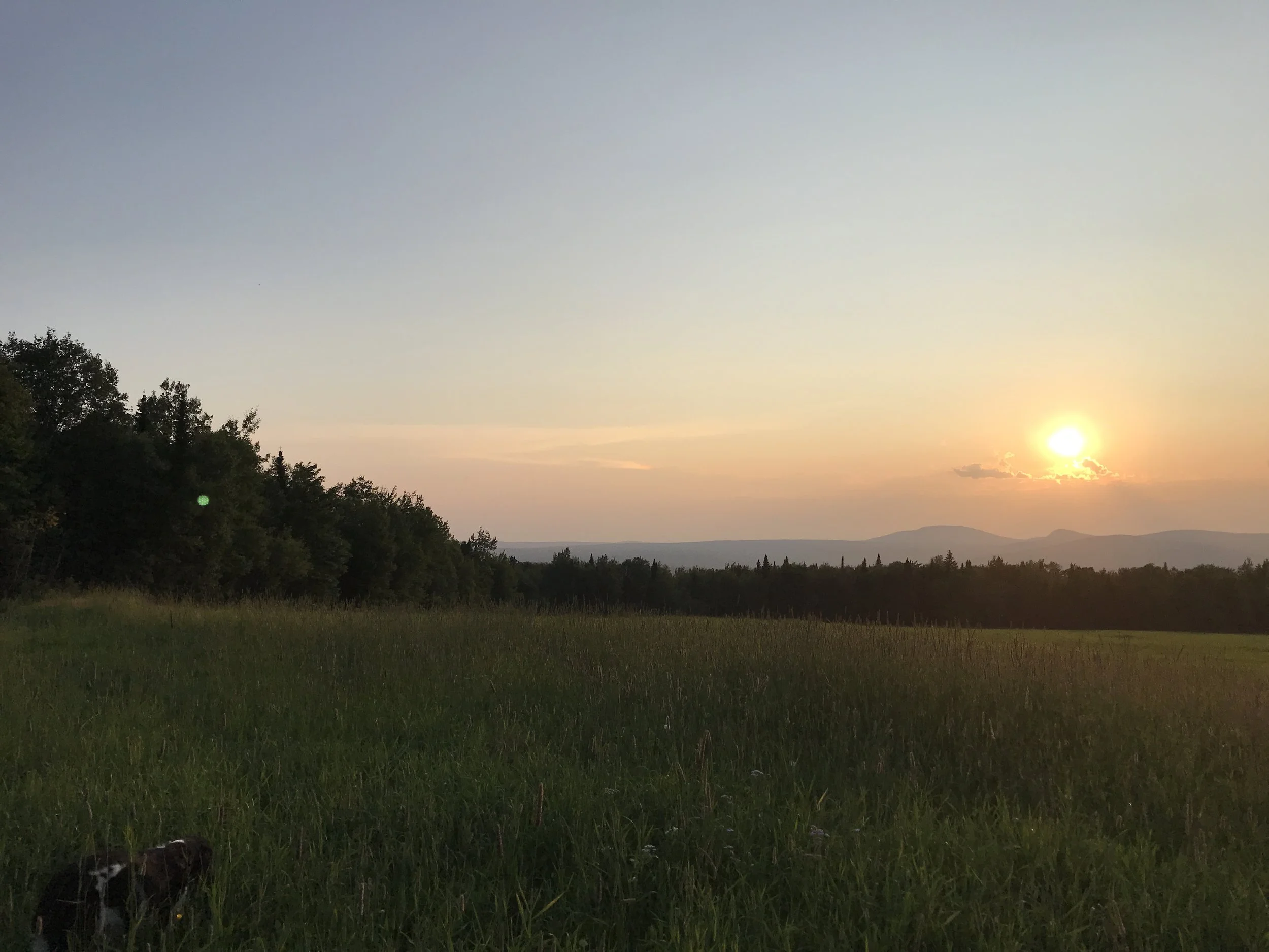 July Photo of the Month