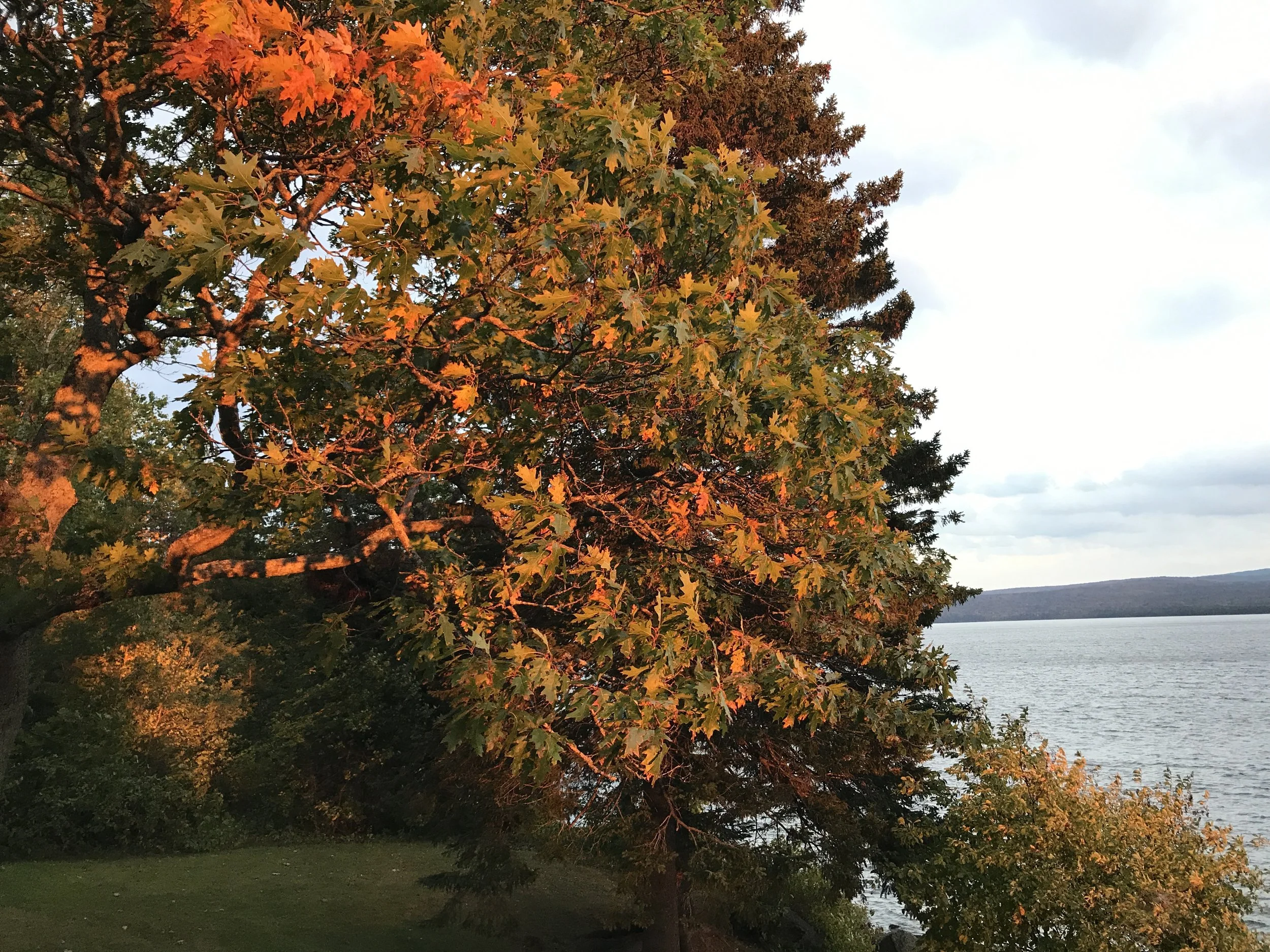 Vermont is NOT Like Cruising