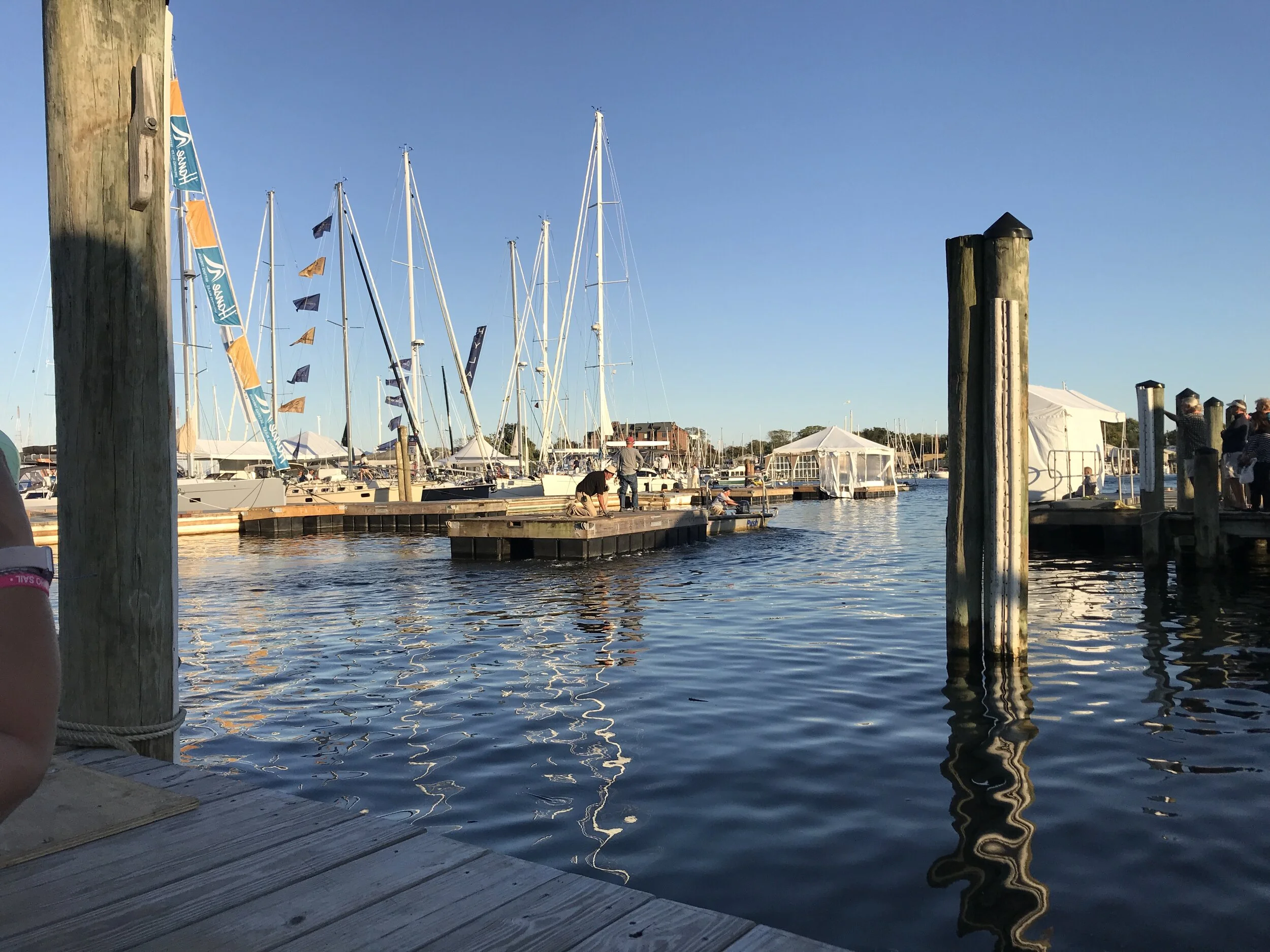 Crash Course on Cruising, and Other Black Friday Specials