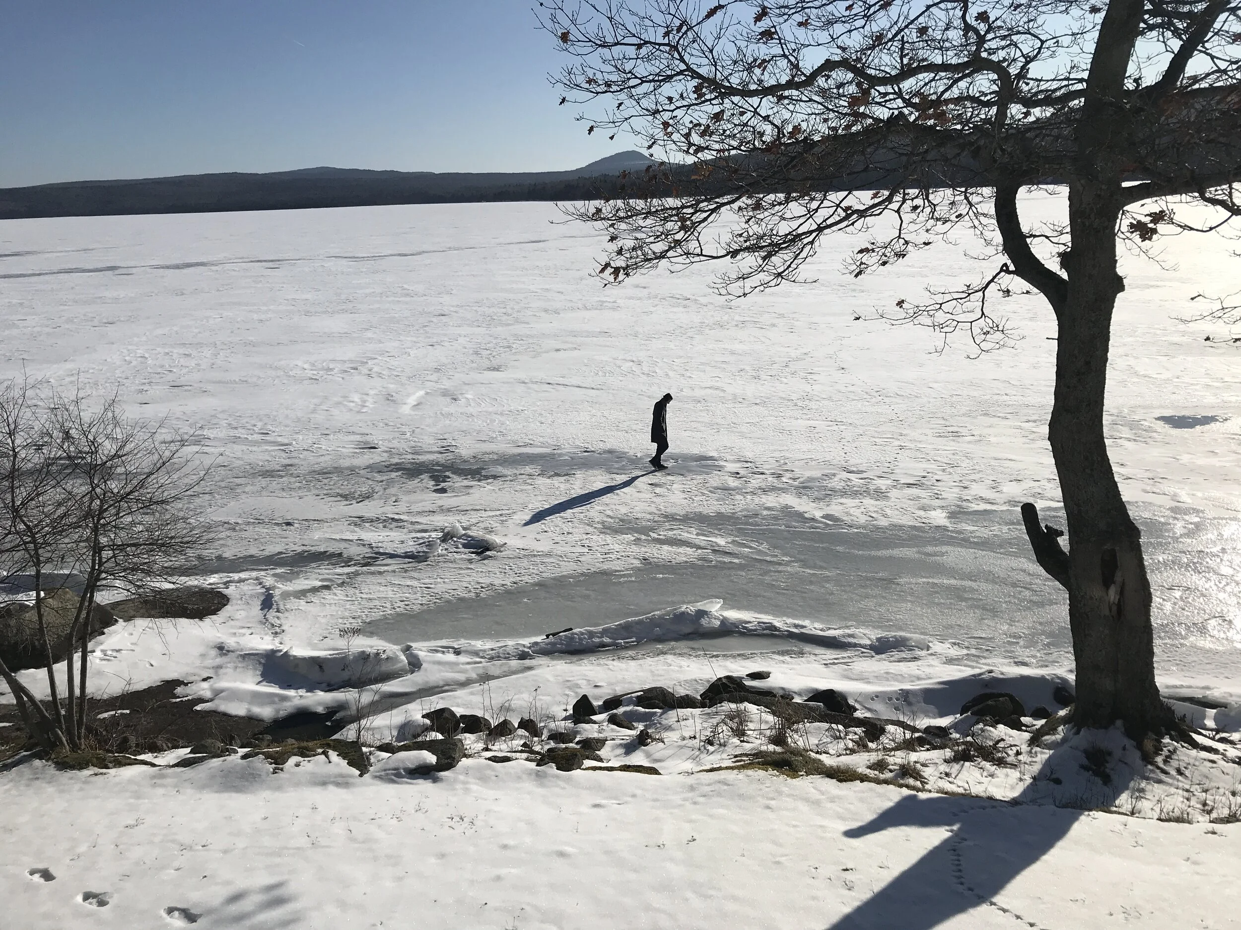 Retrospective on 2019