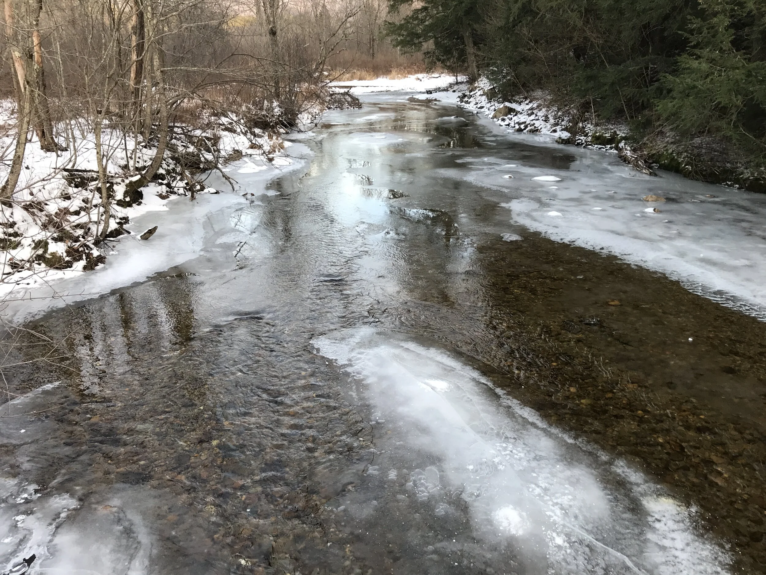 December 2019 Photos of the Month