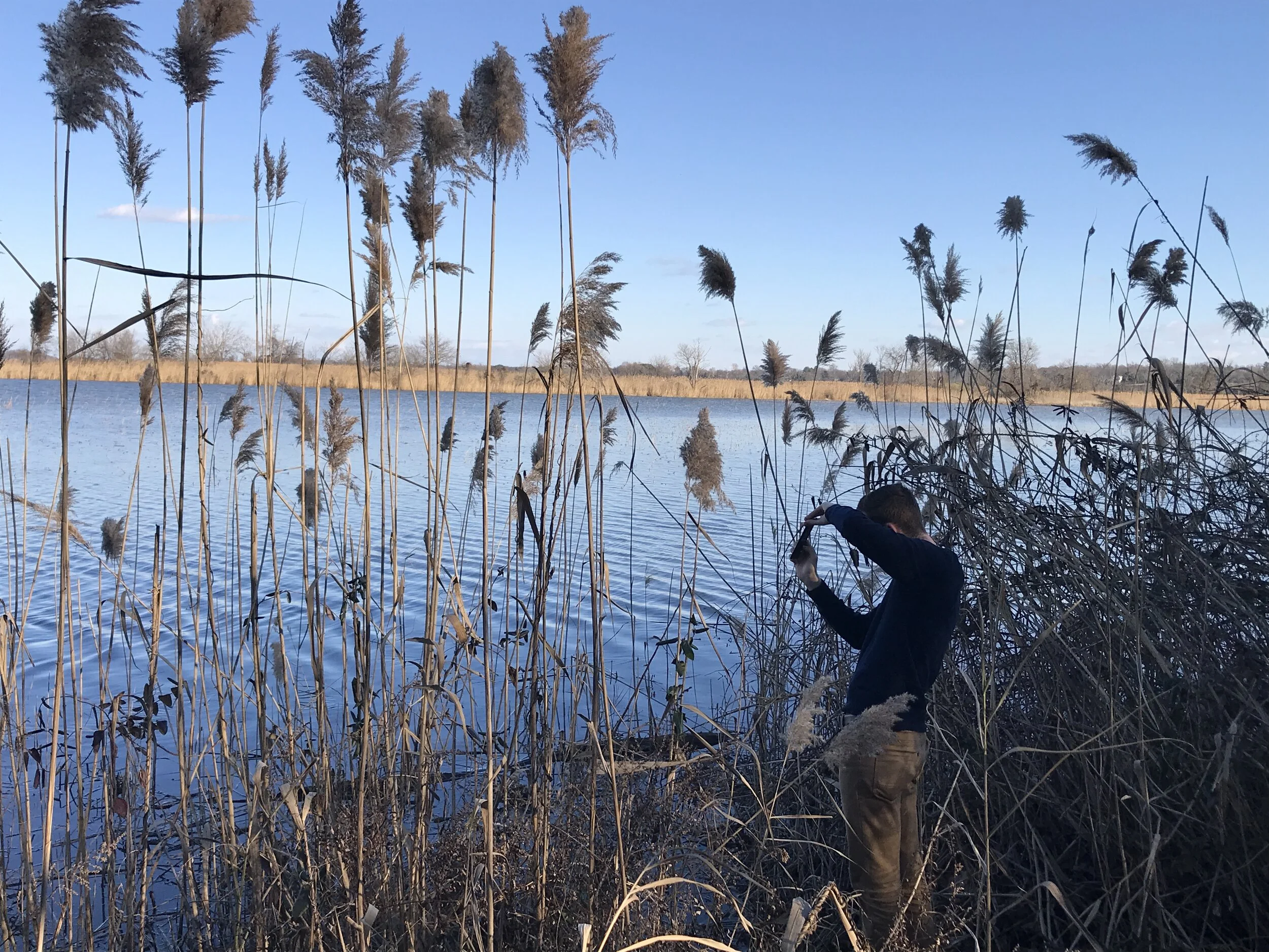 January 2020 Photos of the Month