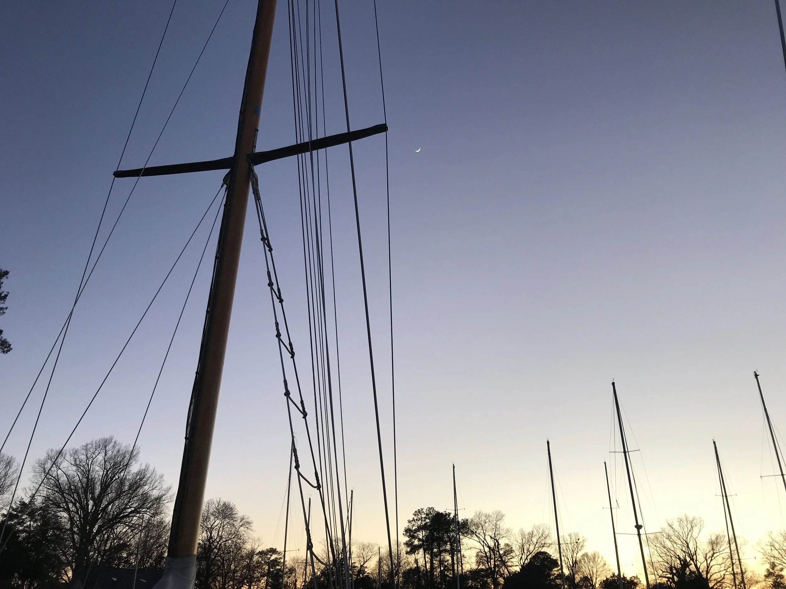 Building Cruising Skills During a Pandemic
