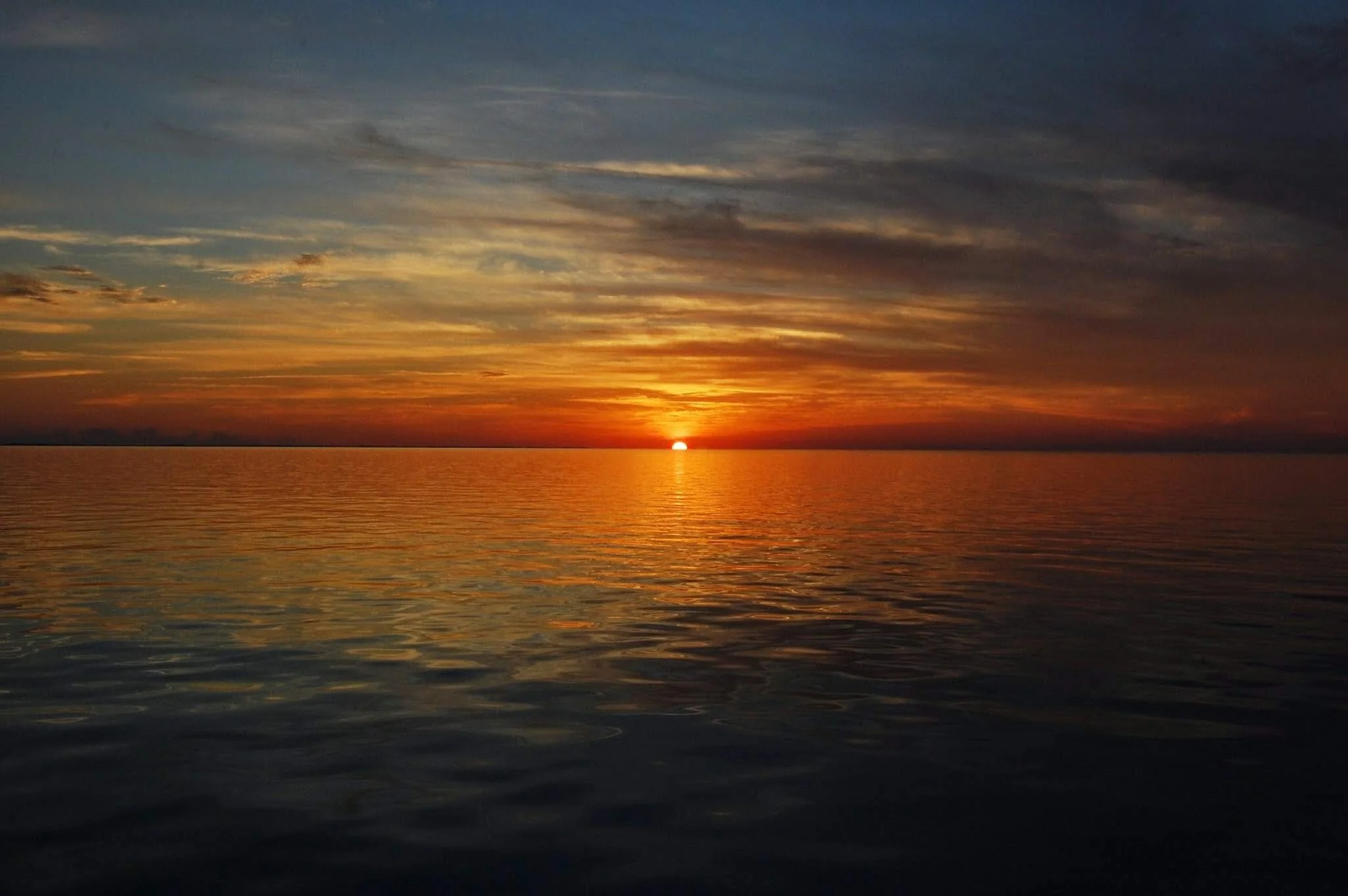 2010-12-15 191815 DSC_0004.JPG