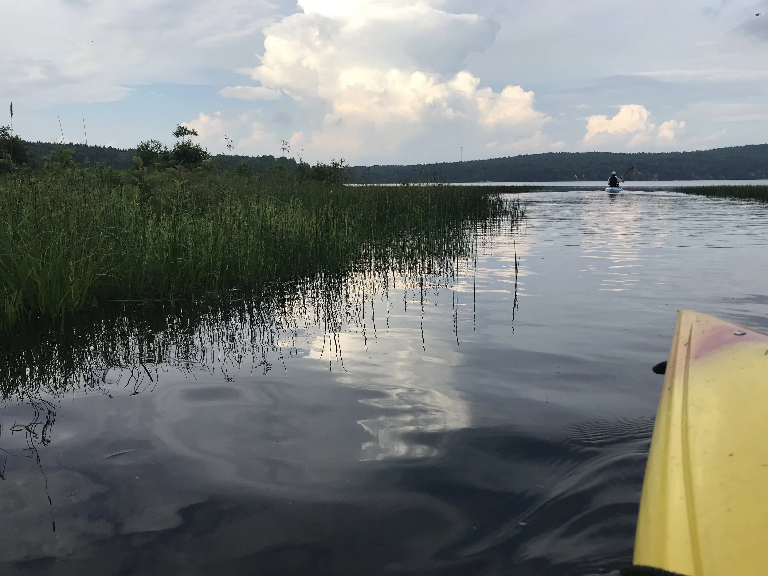 Gratitude in the Details