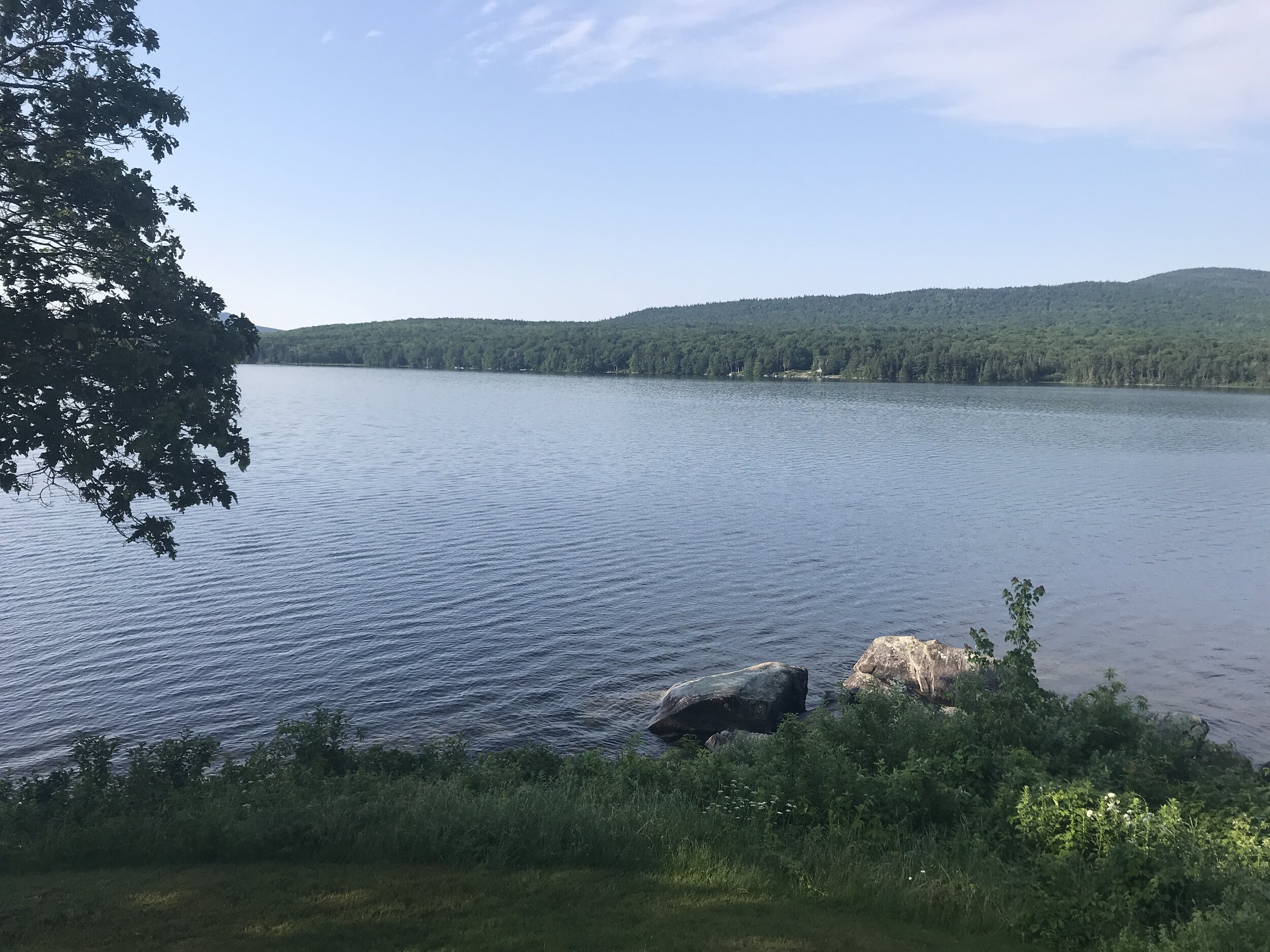 No Bitter, Just Sweet