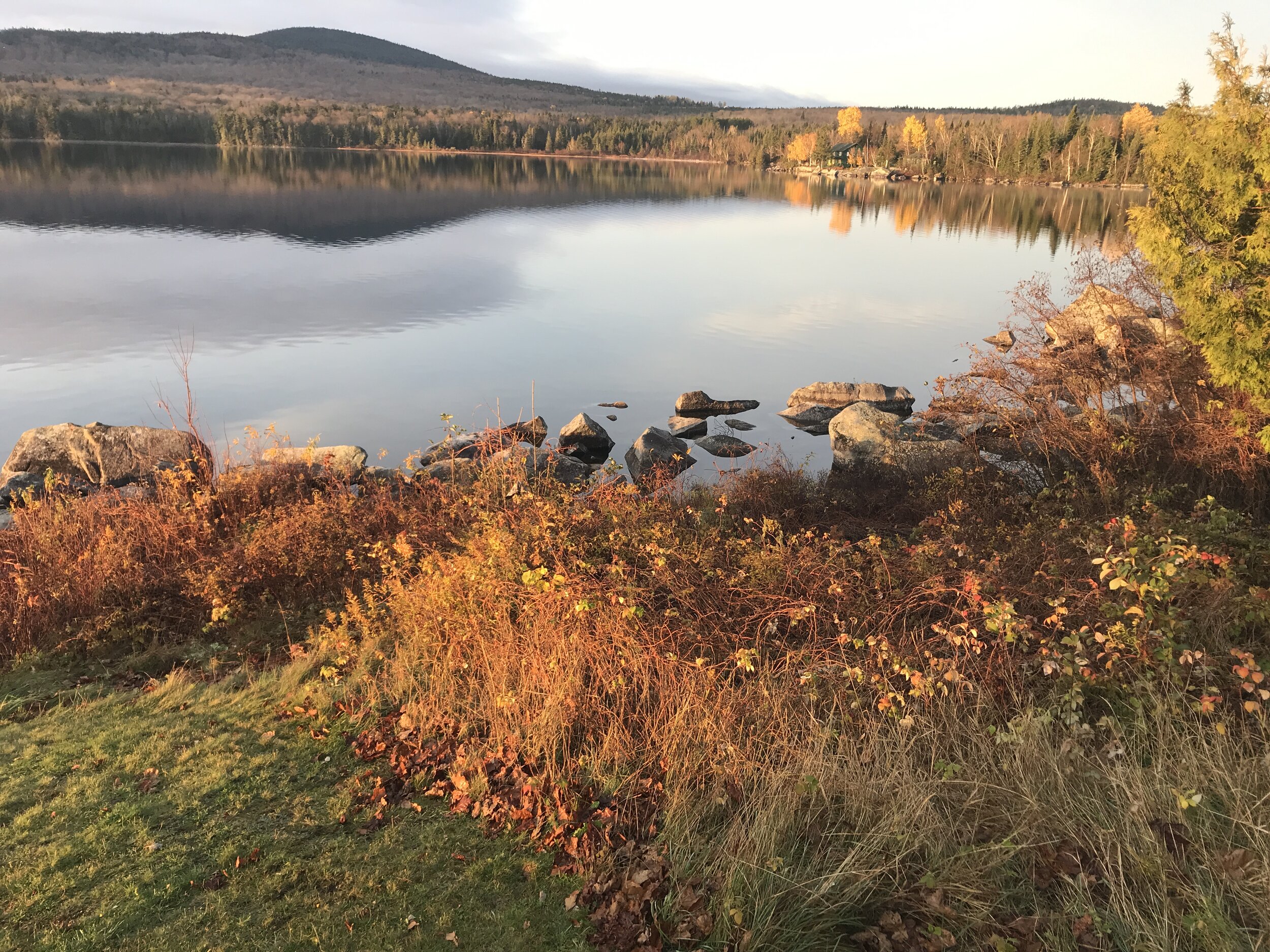 Shift in Precautions