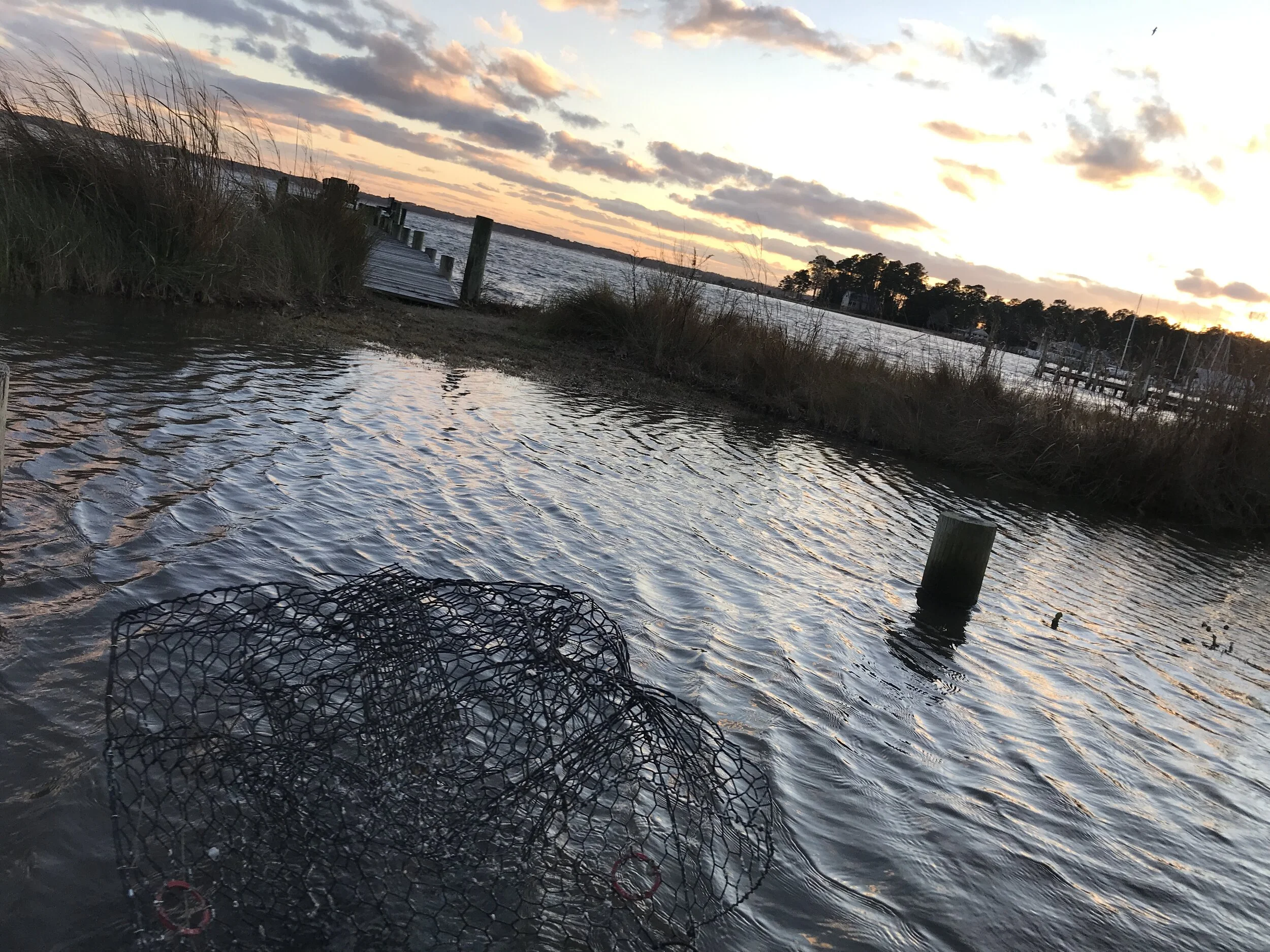 Happy Holidays from us to you!