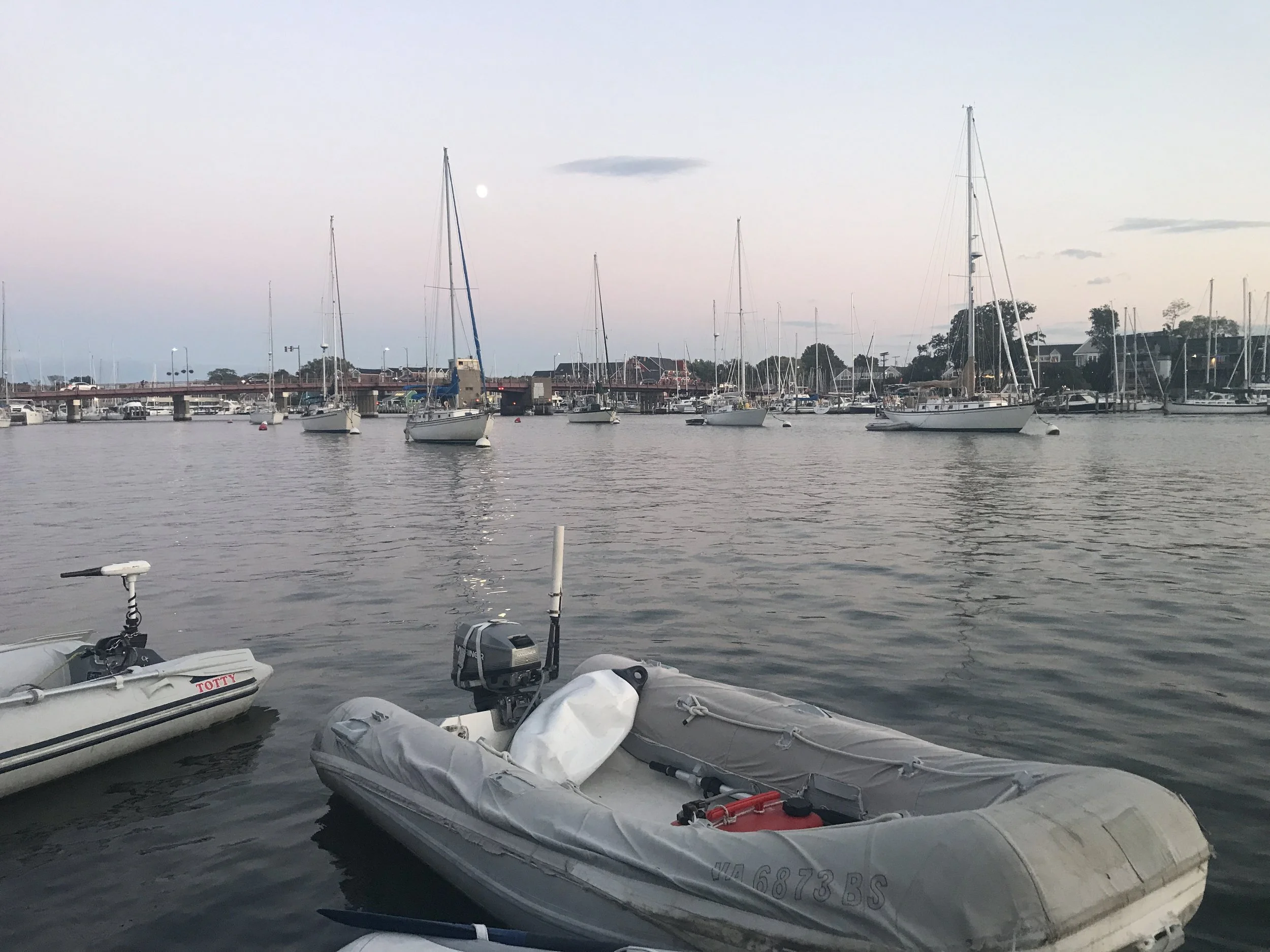 Three Weeks of Social Whirlwind 