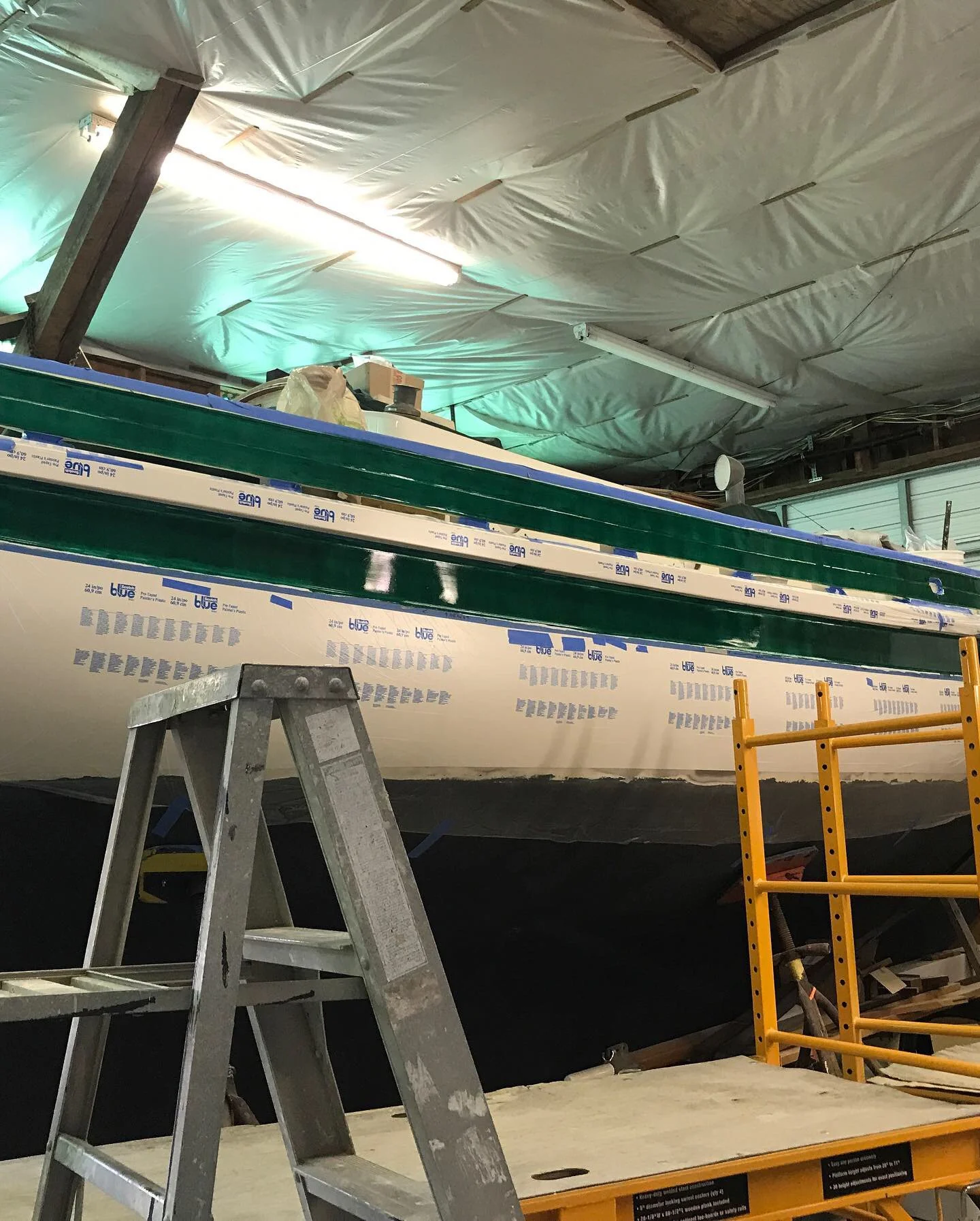 A Week's Progress in Photos