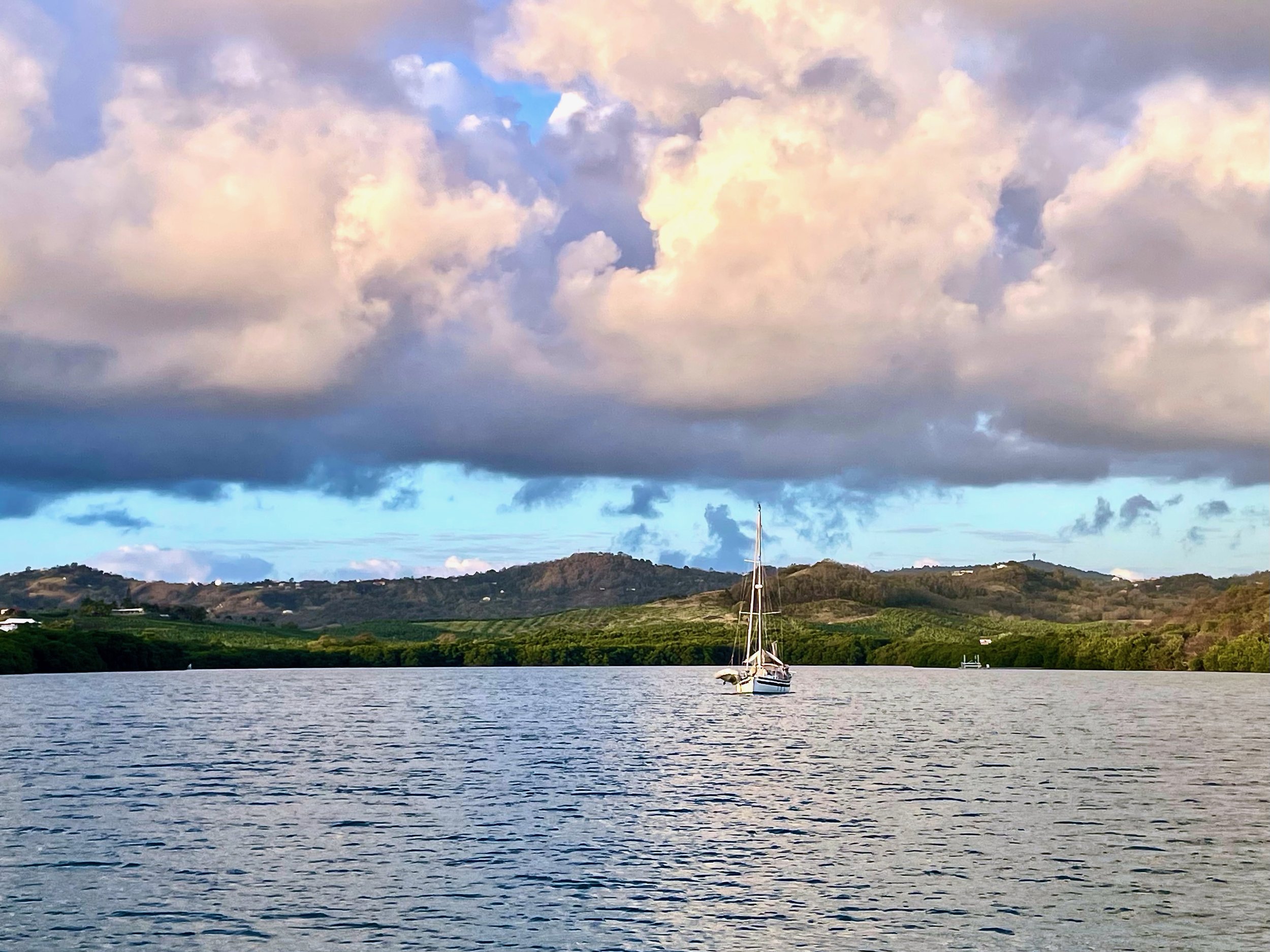 Essential Information for the International Cruiser