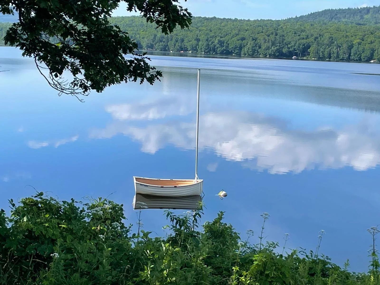 Why Are We in a New Boatyard?