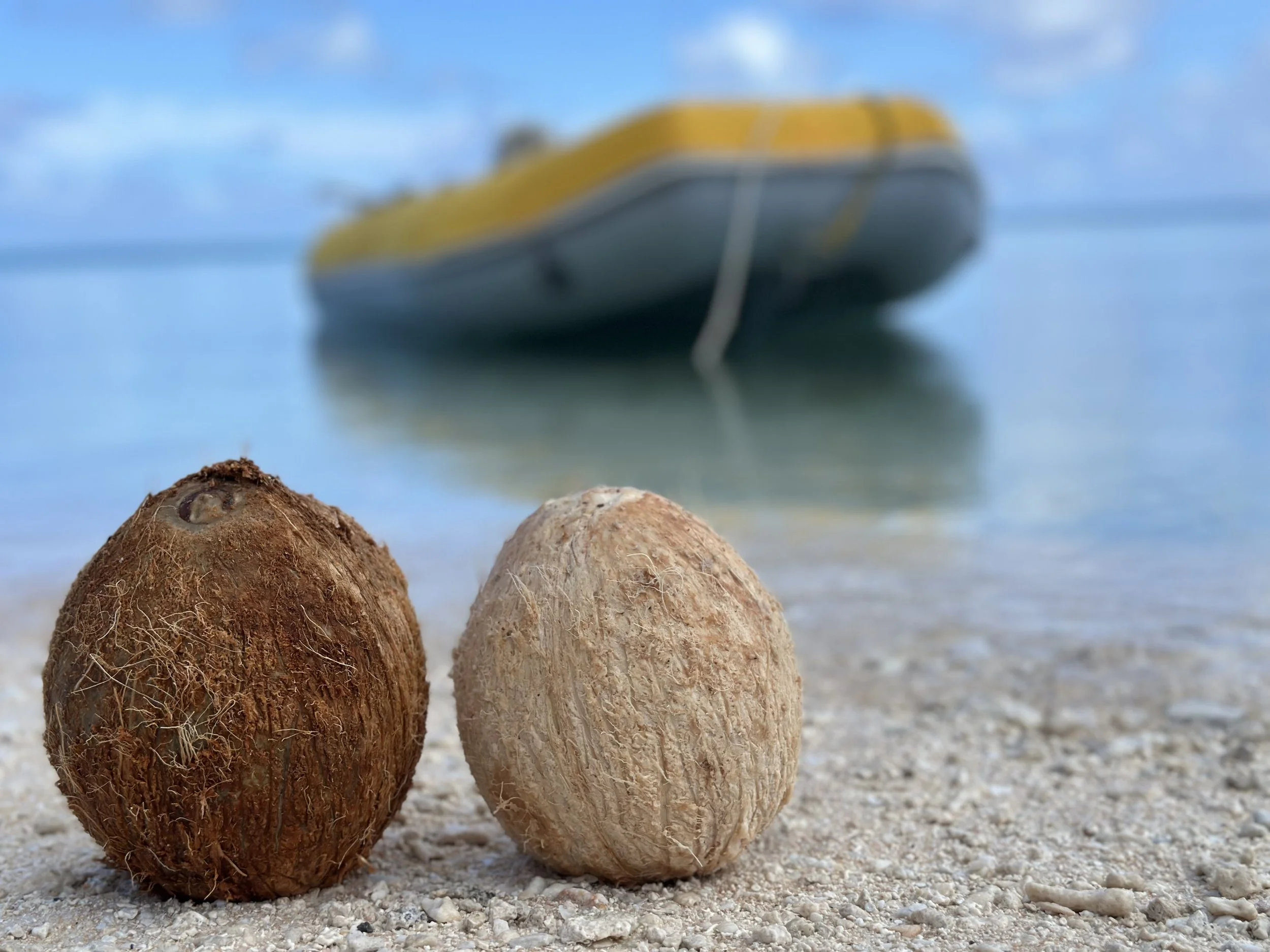 Katiu! (Fifth Atoll for us . . .)