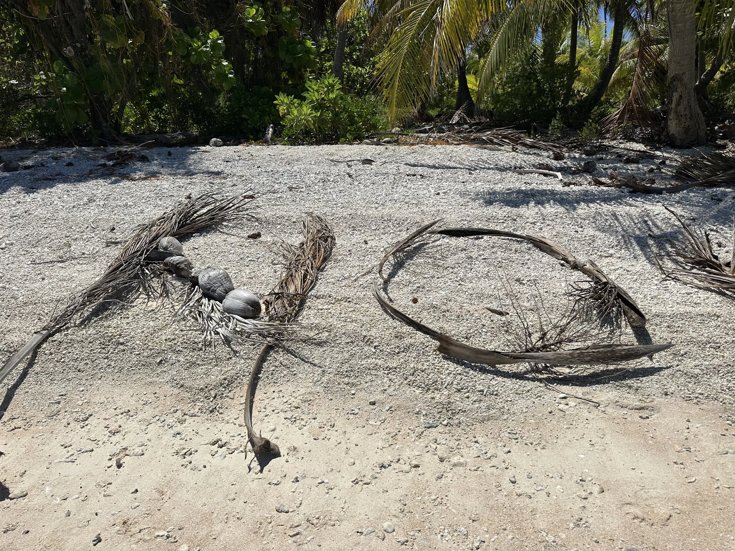 Fakarava Review: Atoll Number 8