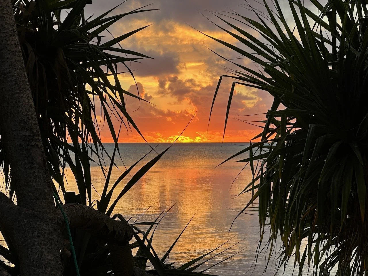 Photo Dump, Gambiers mostly