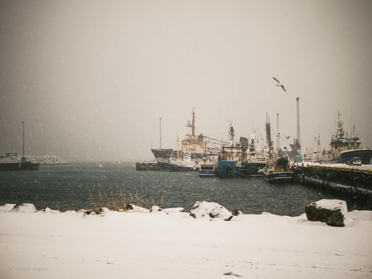 The harbour at Reykjanesbær.