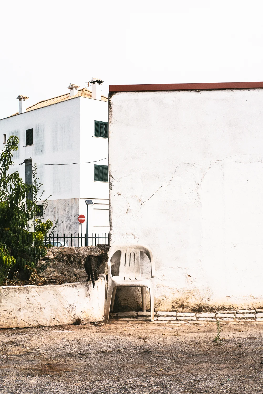 Tavira-July-2017-web-3.jpg