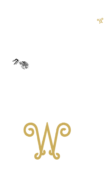 boar_white-01.png